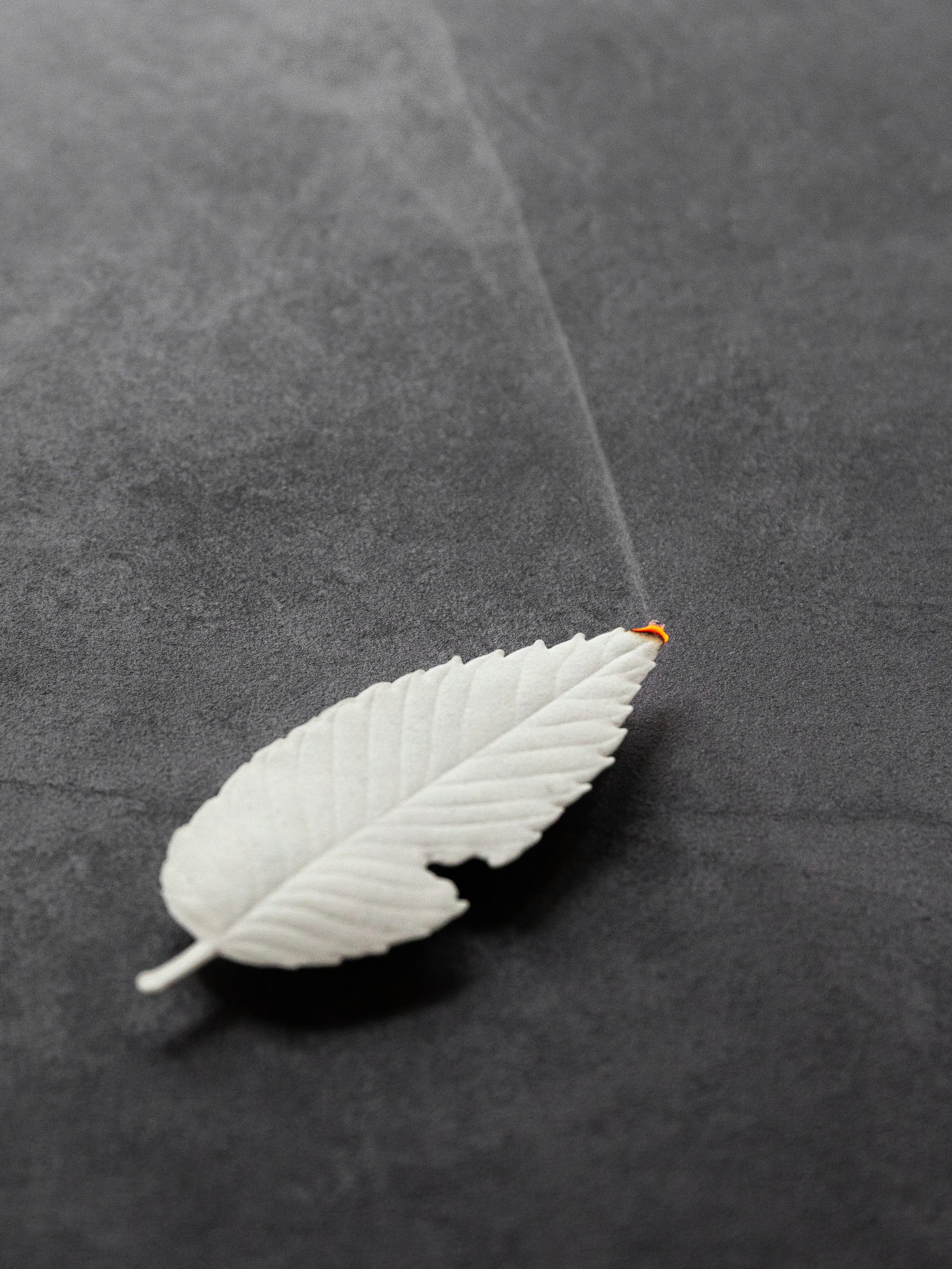 Paper incense in the shape of a white leaf, smoldering with a wisp of smoke.