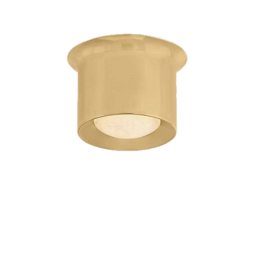 img5z Background Removed.png