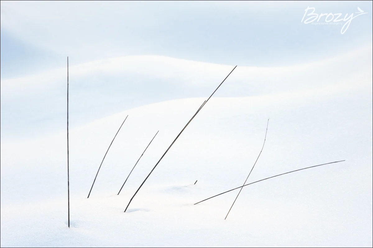 winter whispers