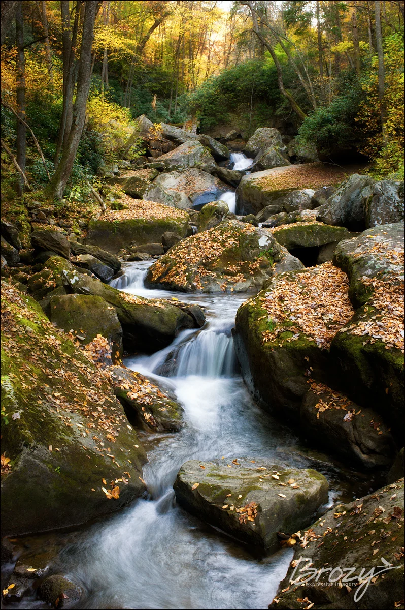 autumn creek
