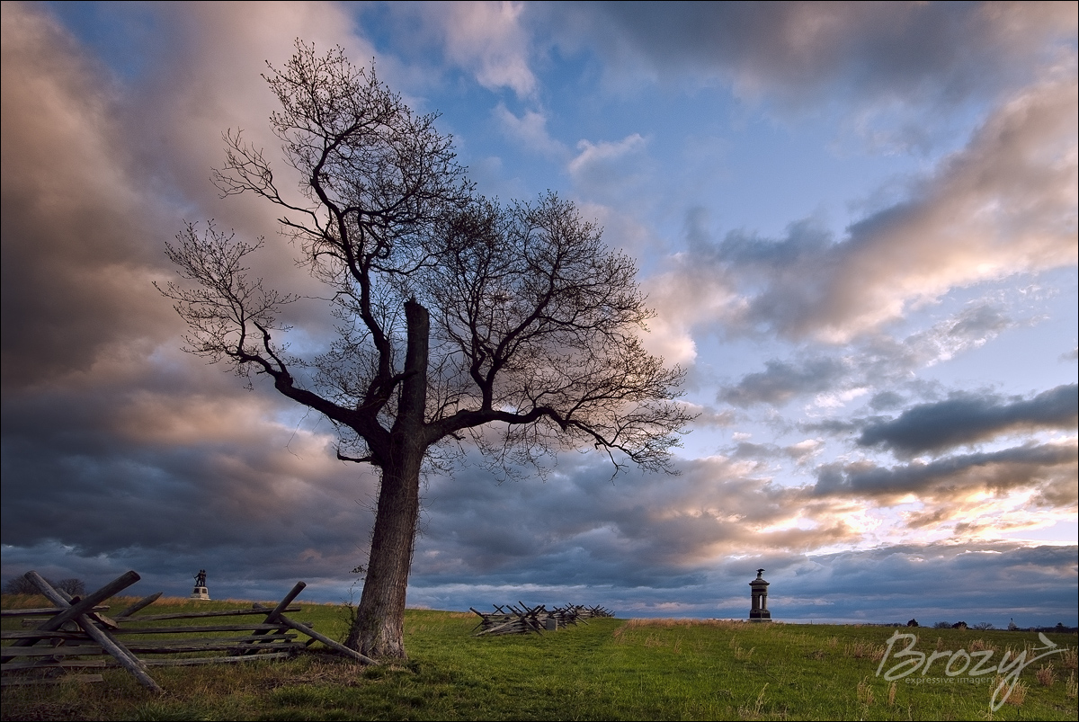 solitude under moody skies