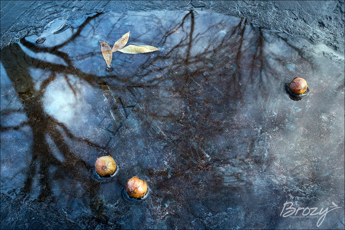 layers of life