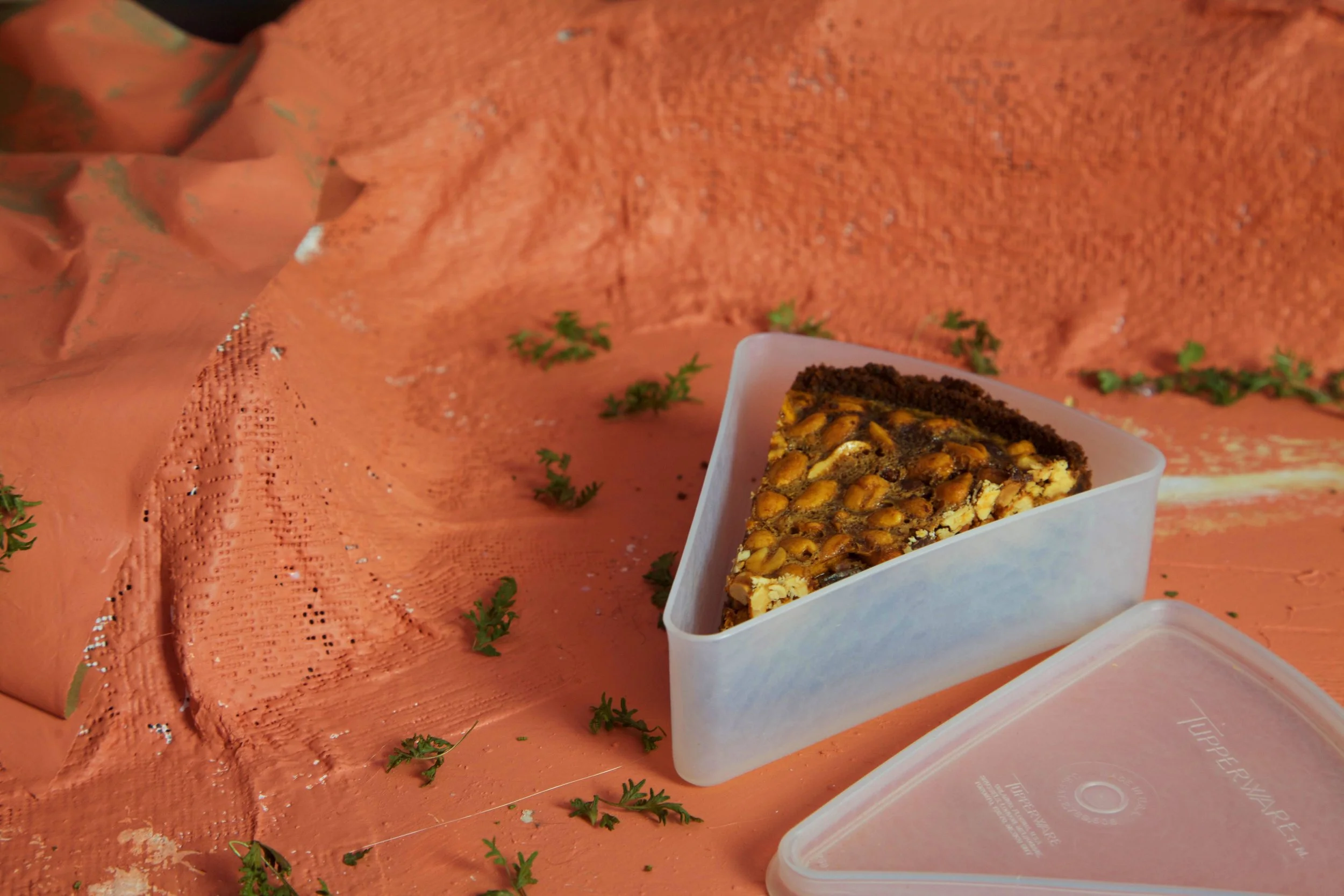 'Tupperware' Single Pie Slice Saver