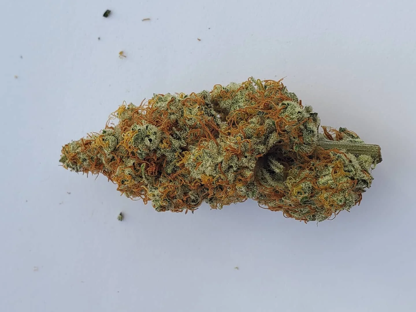 &bull;Dried Jelly Sickle&bull;
&bull;
With lots of irons in the fire we are looking forward to 2021. Happy holidays and happy new year from HBC Maine!
&bull;Nothing for sale on Instagram 
#hbcmaine #highbrix #cannabis #maine #brix #thriving #livingso
