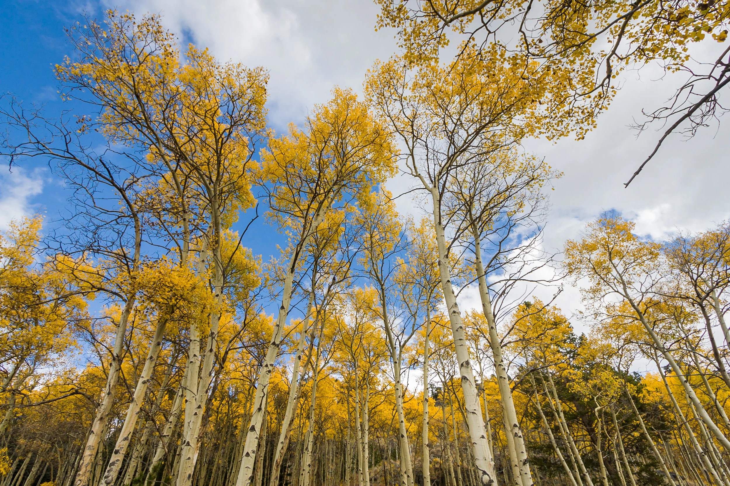 WyomingFall-8473.jpg