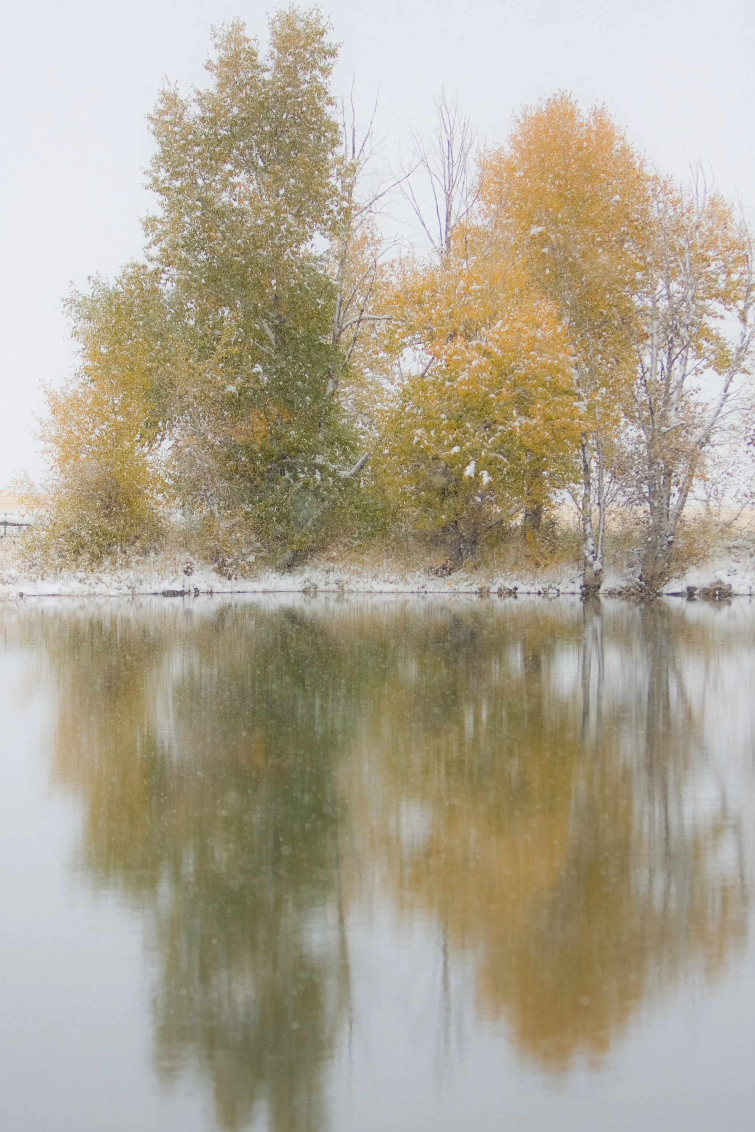 WyomingFall-9719.jpg