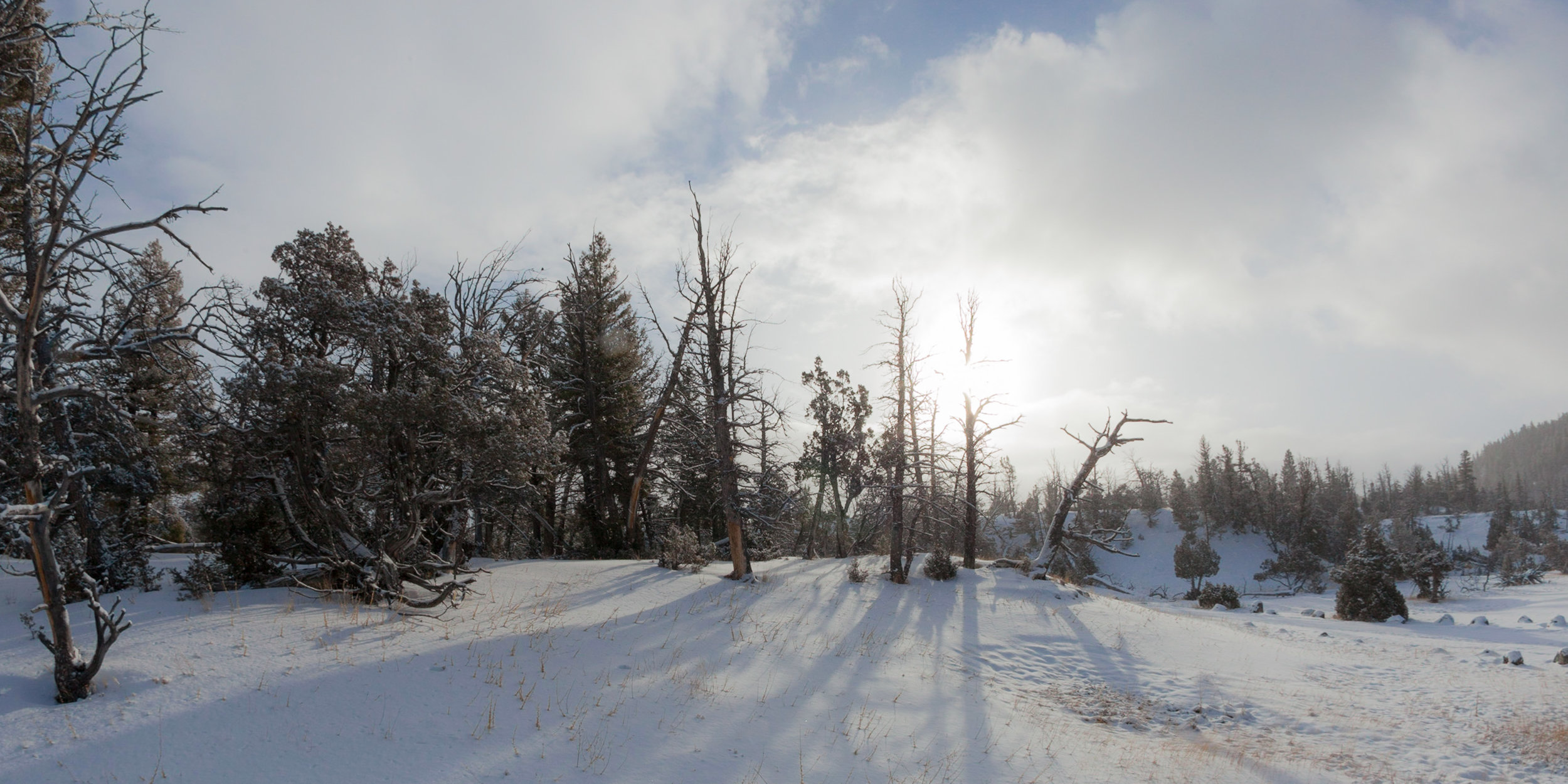 Yellowstone2009-258.jpg