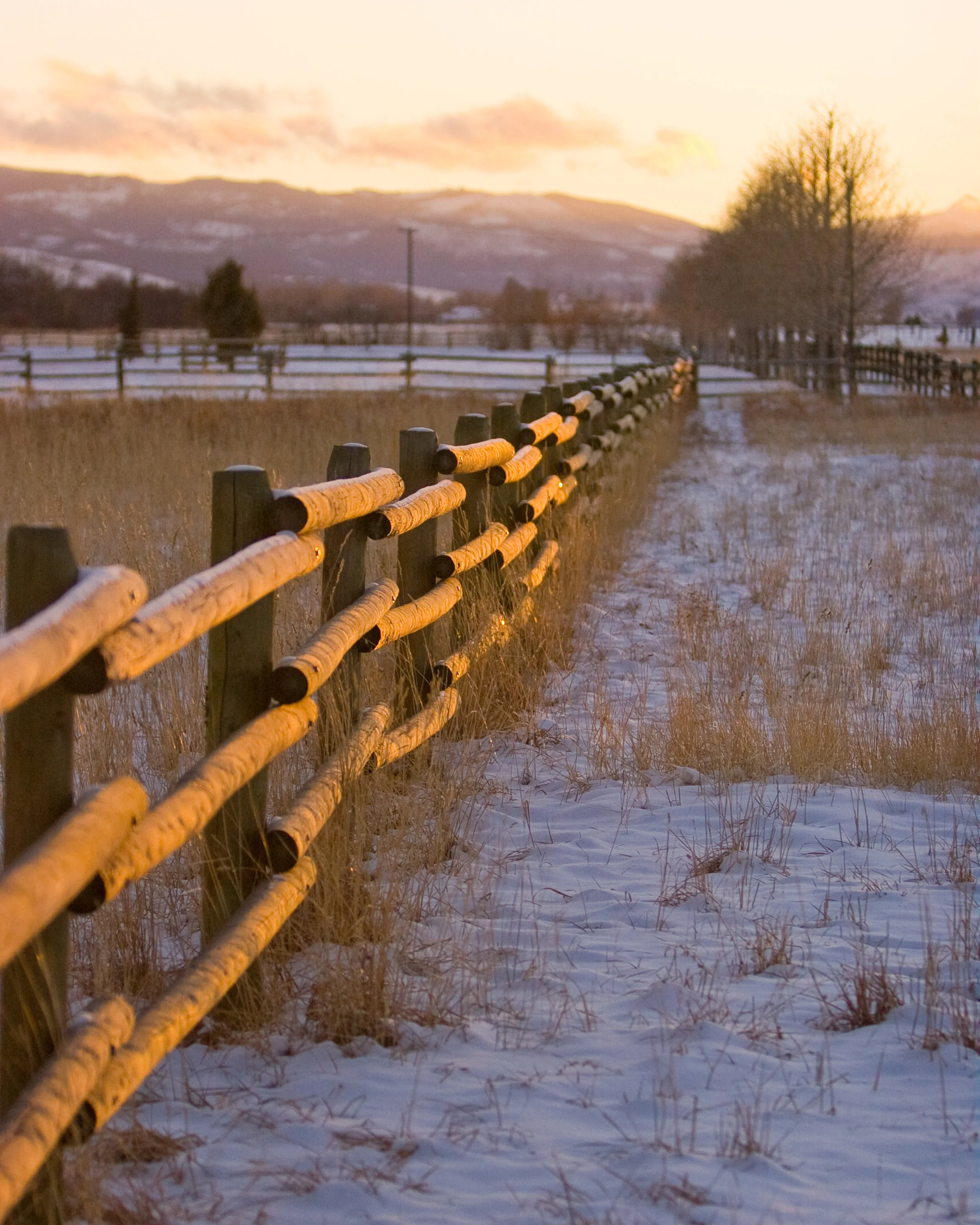 YellowstoneWinter-7336.jpg
