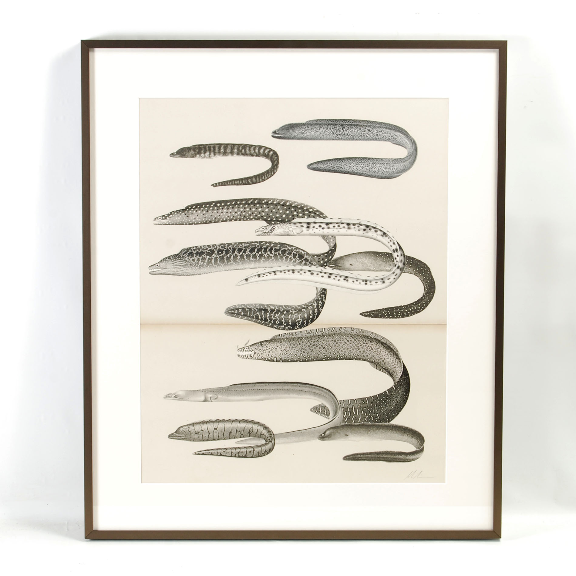 Birds of a Feather (2018)