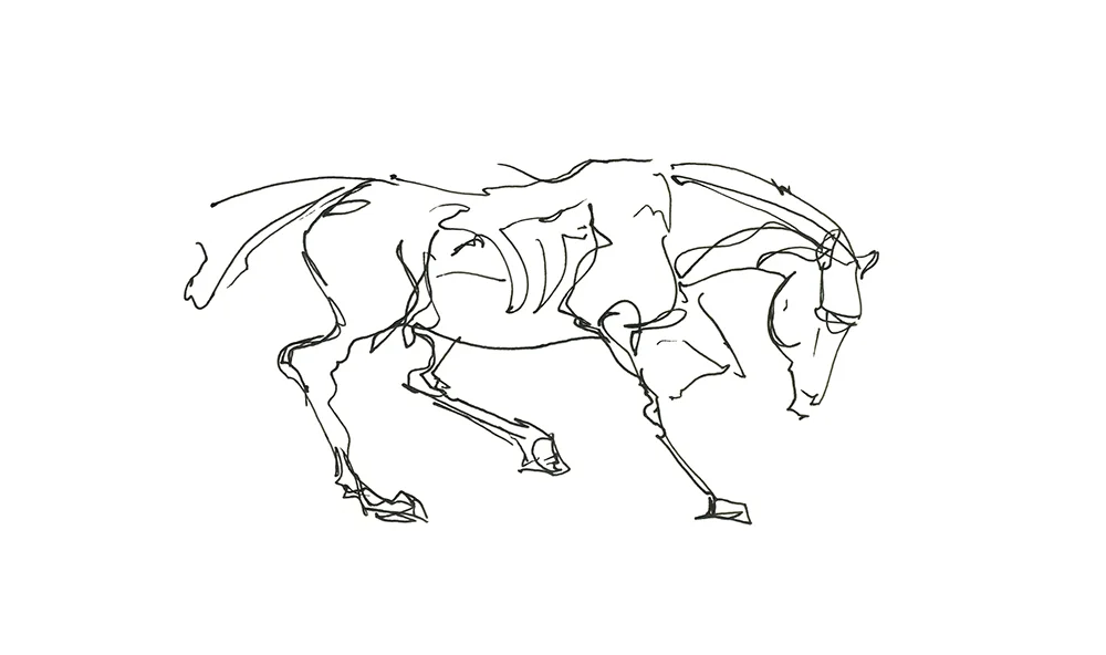 horse 1.jpg