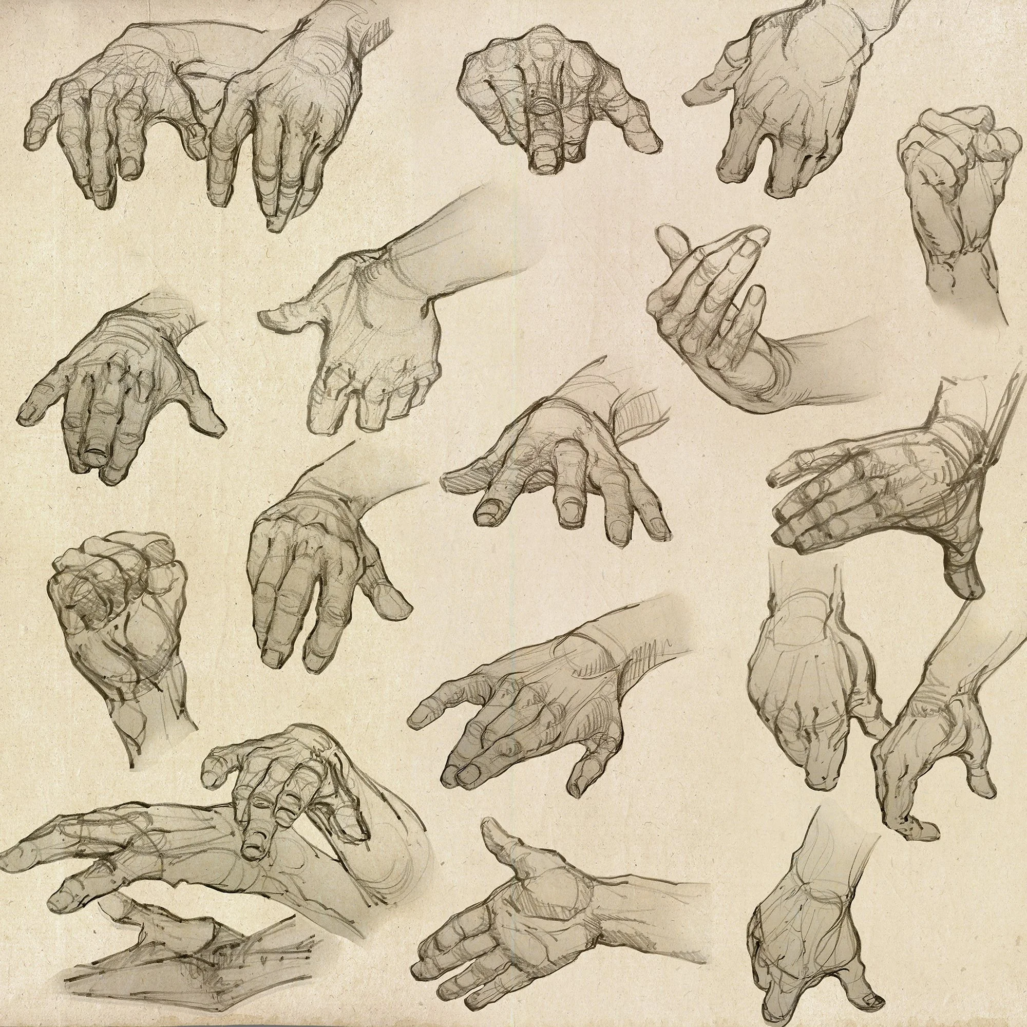 hands resize1 copy.jpg