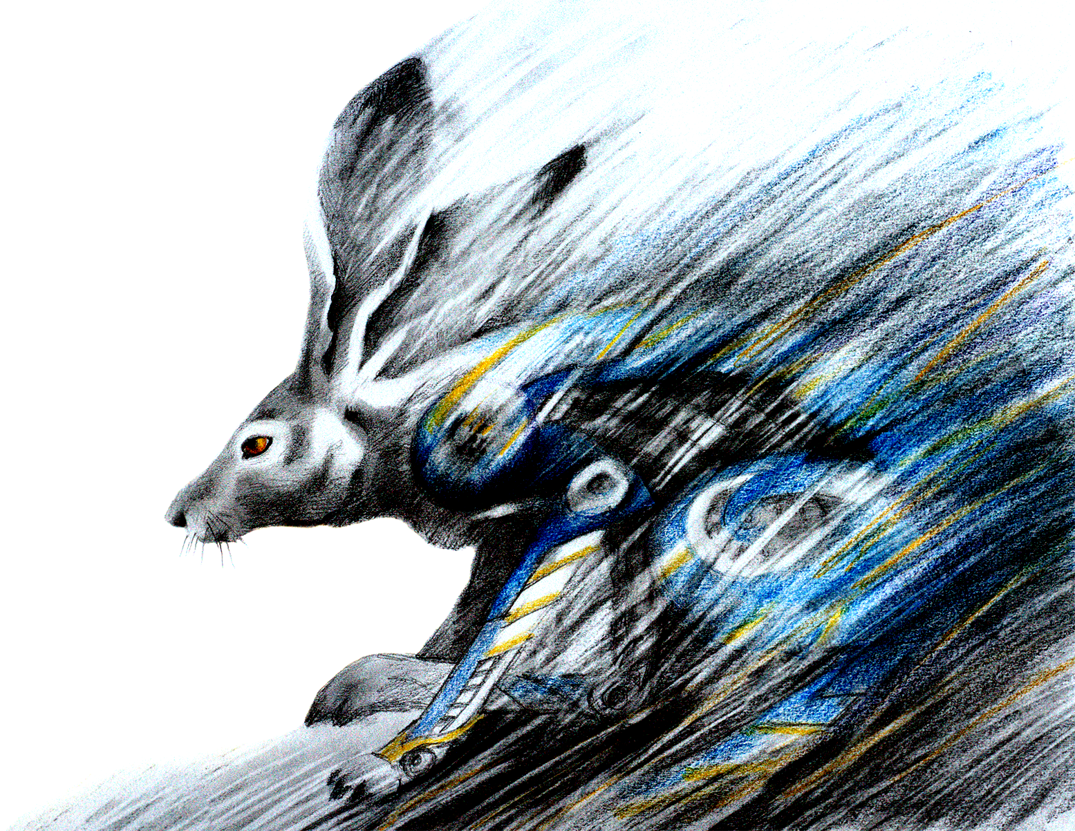 Flash Bunny.png
