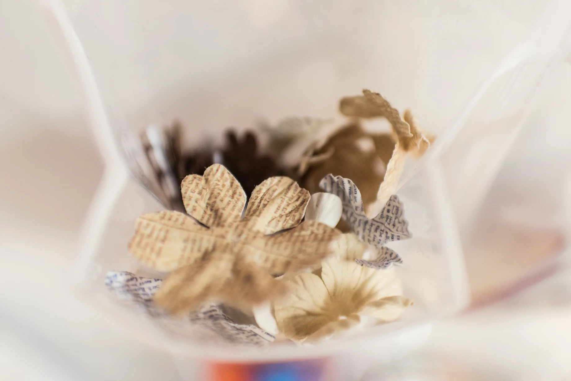 PaperFlowers@0,25x.jpg