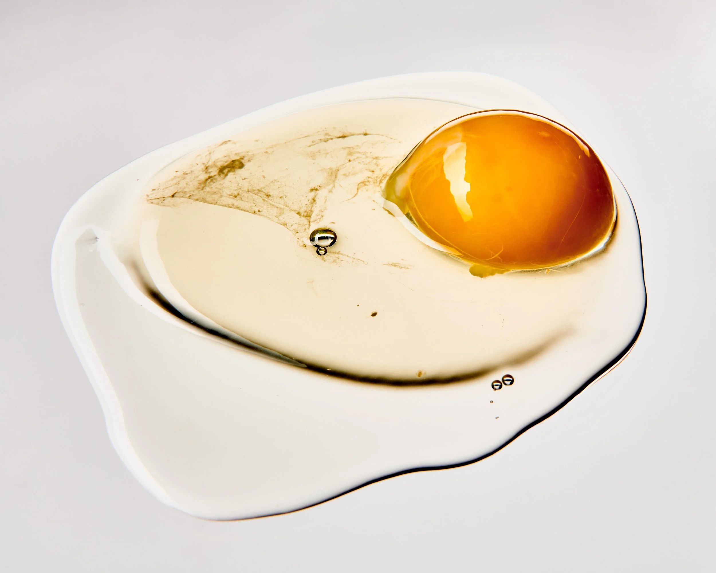 salmonella_0245.jpg