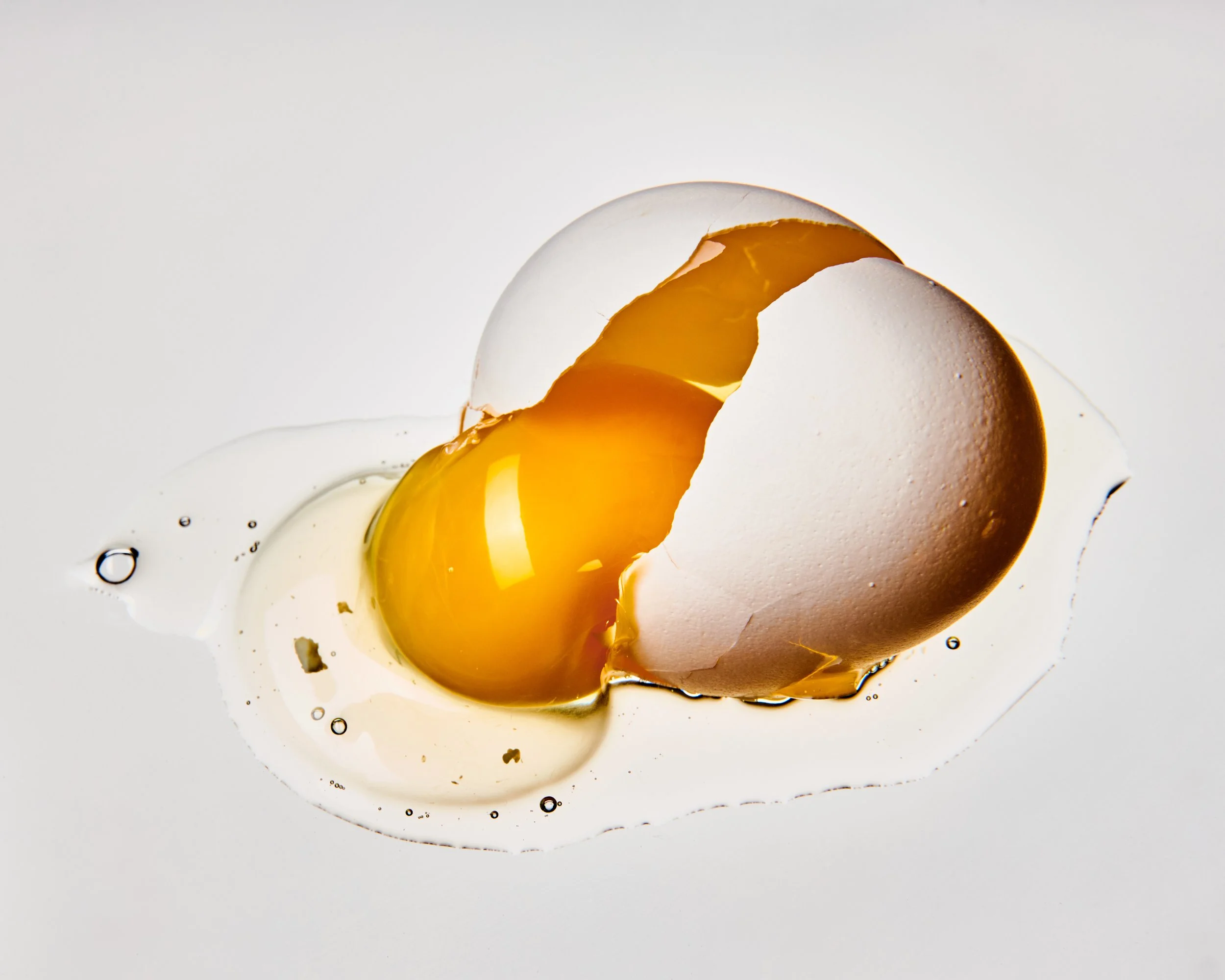 salmonella_0249.jpg