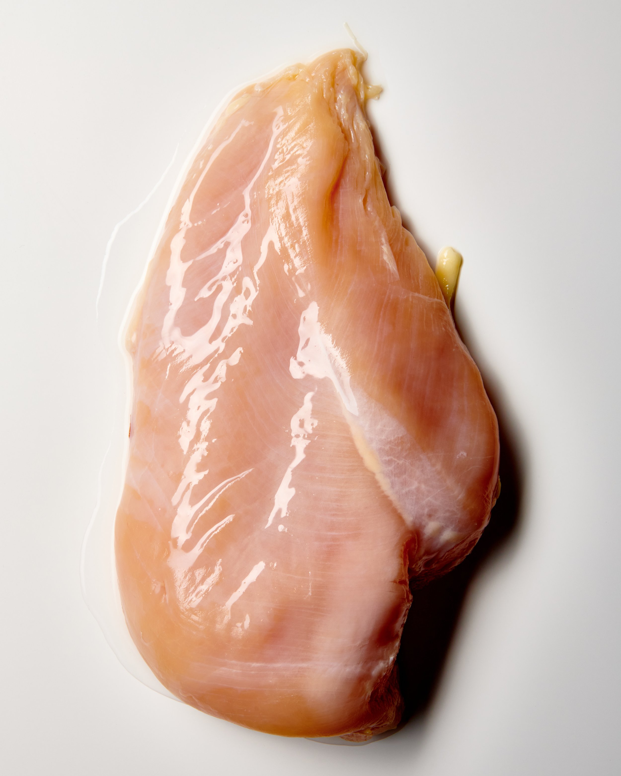 salmonella_0277.jpg