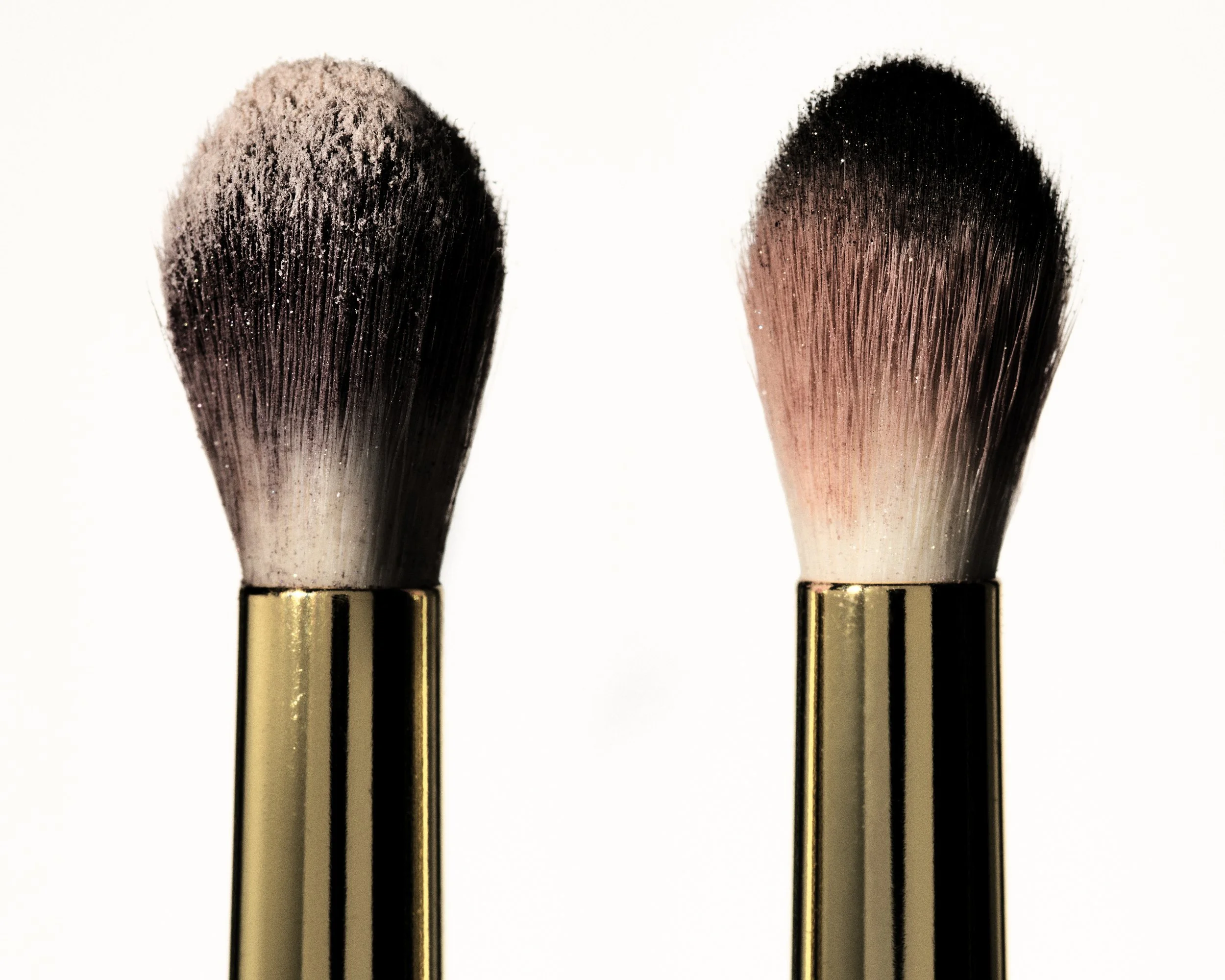 Brushes_0095.jpg