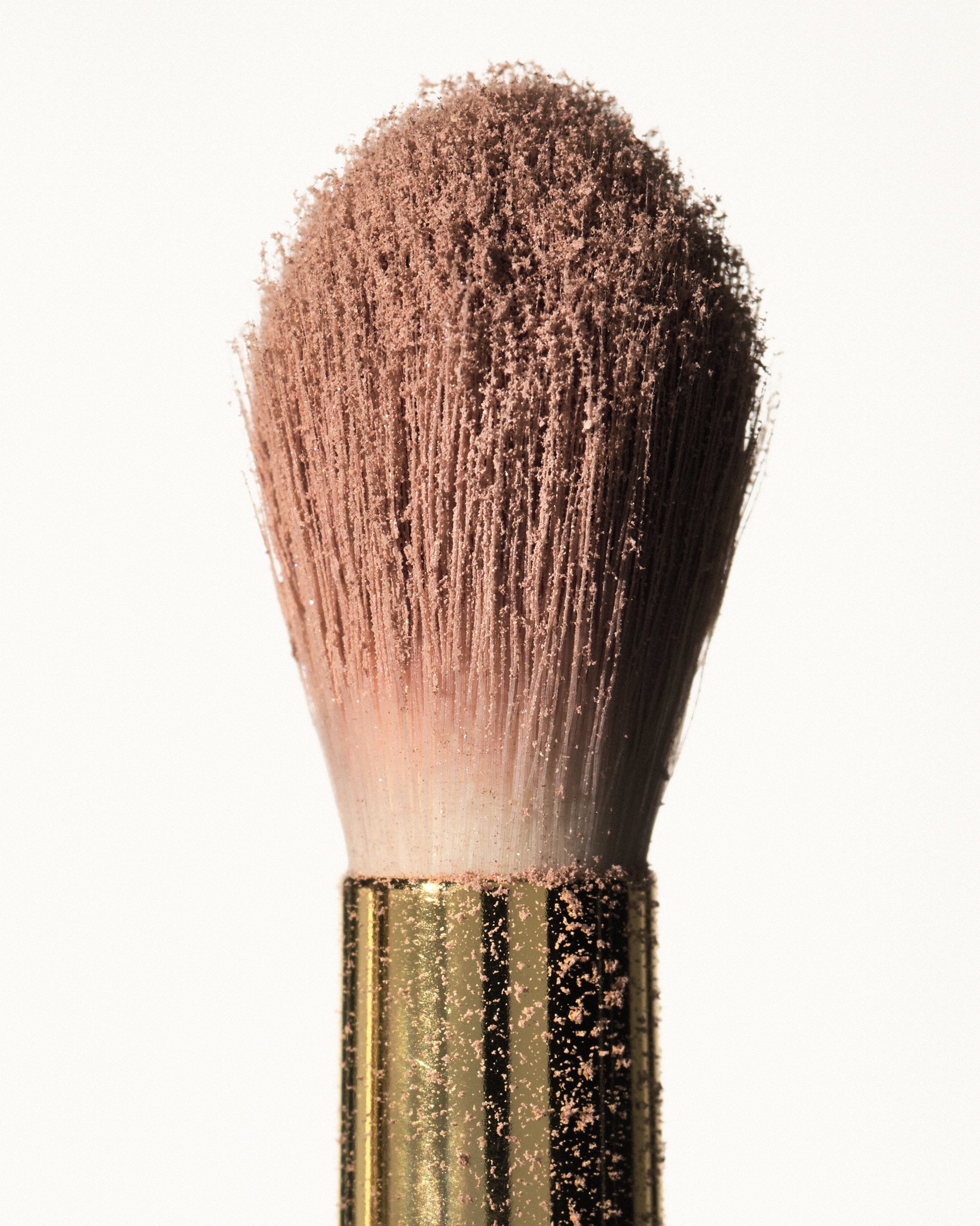 Brushes_0143.jpg