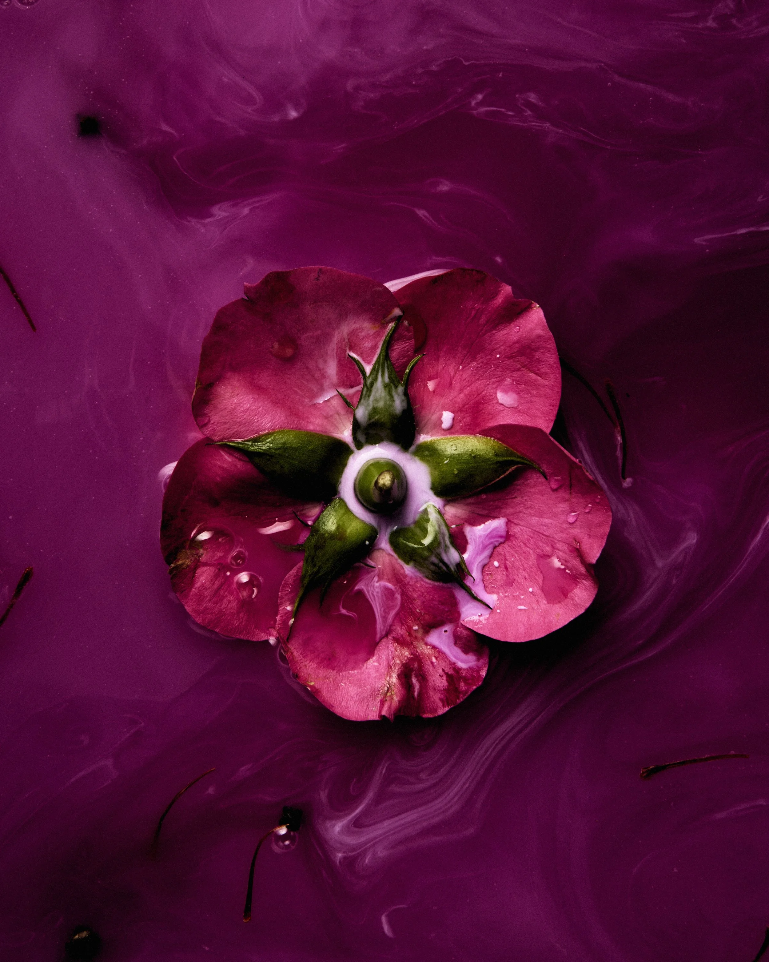 Byronic Hero_0346 1_4x5.jpg