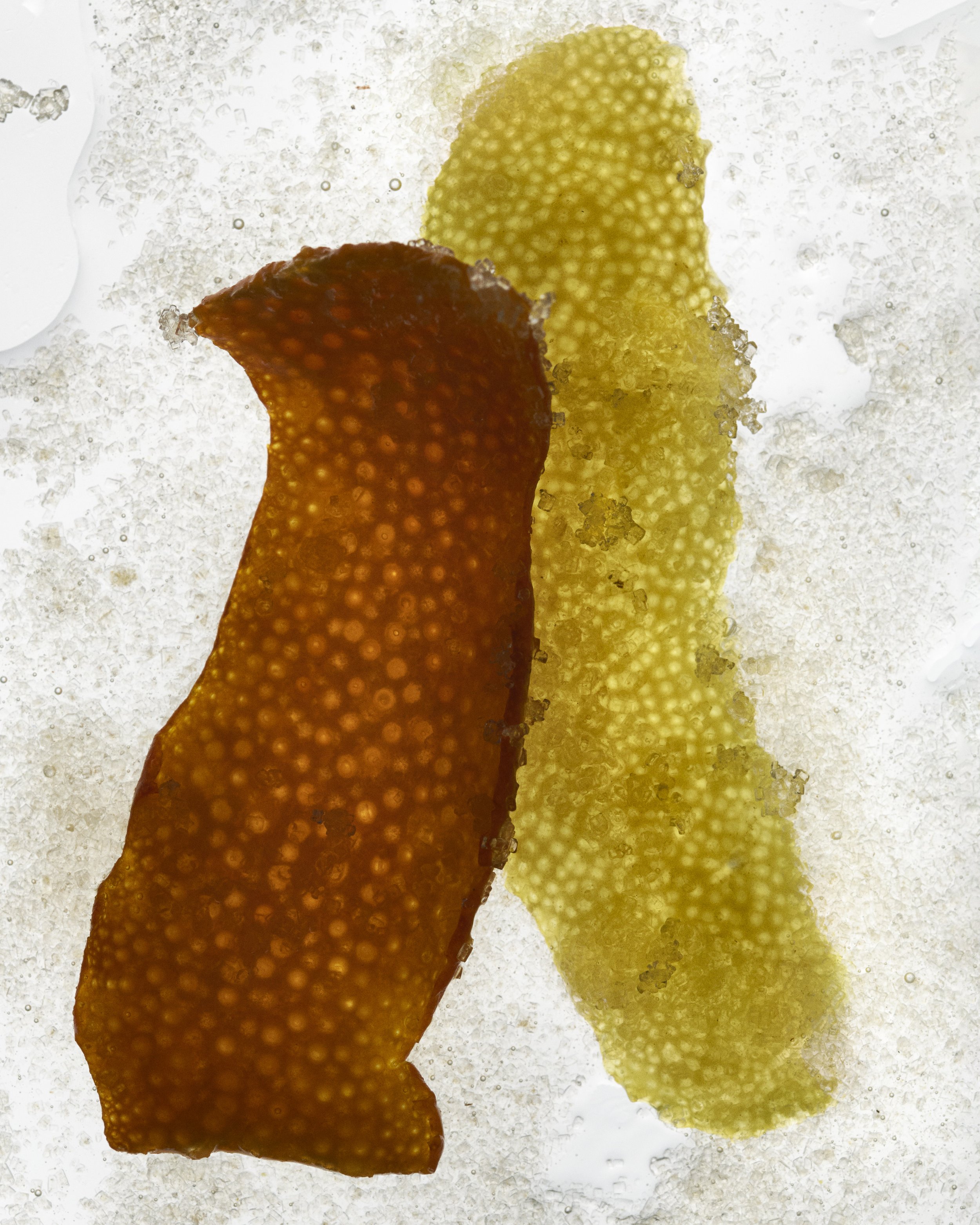 Oleo Saccharum_0032_DH_v1.jpg