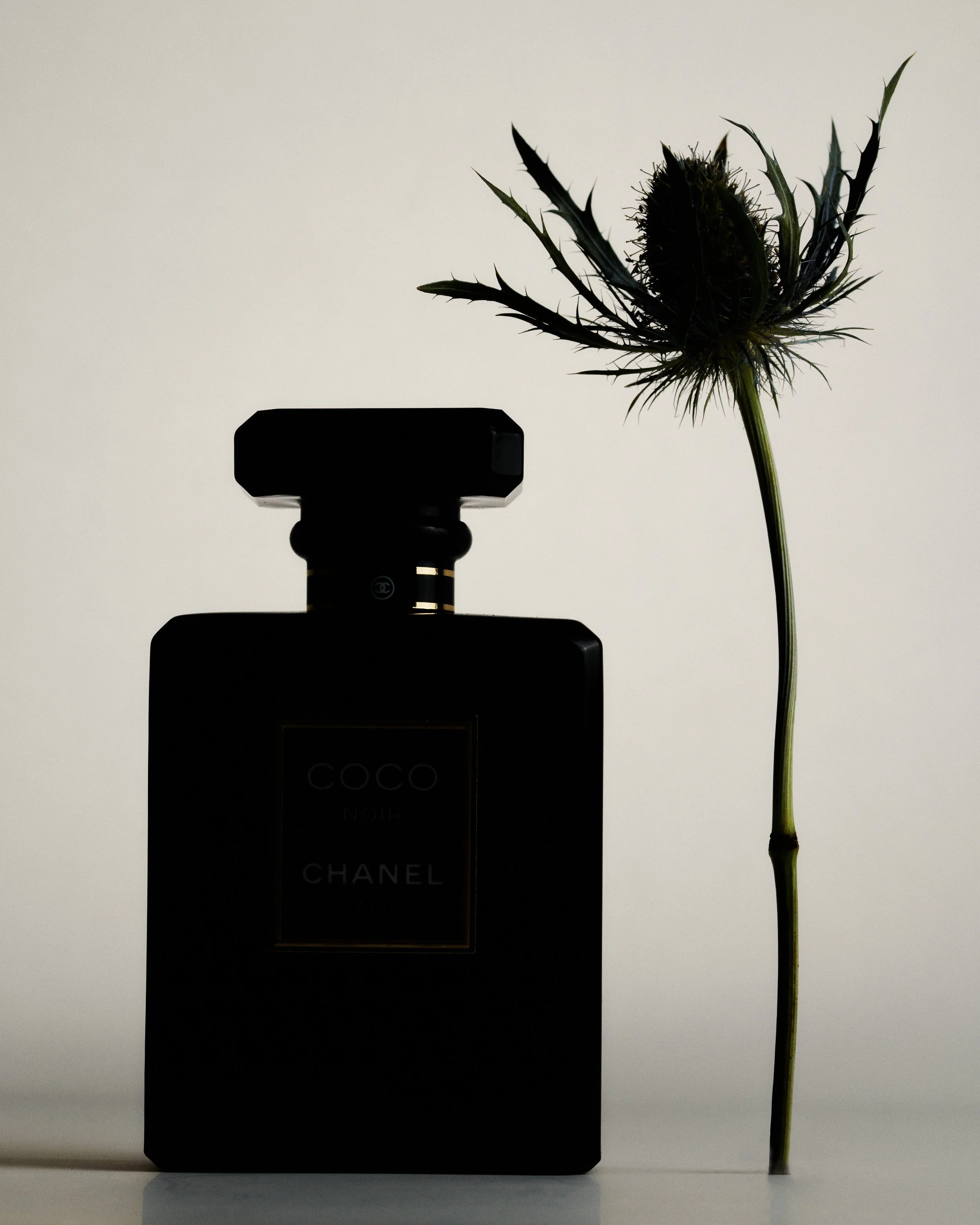 chanel fragrance_003.jpg