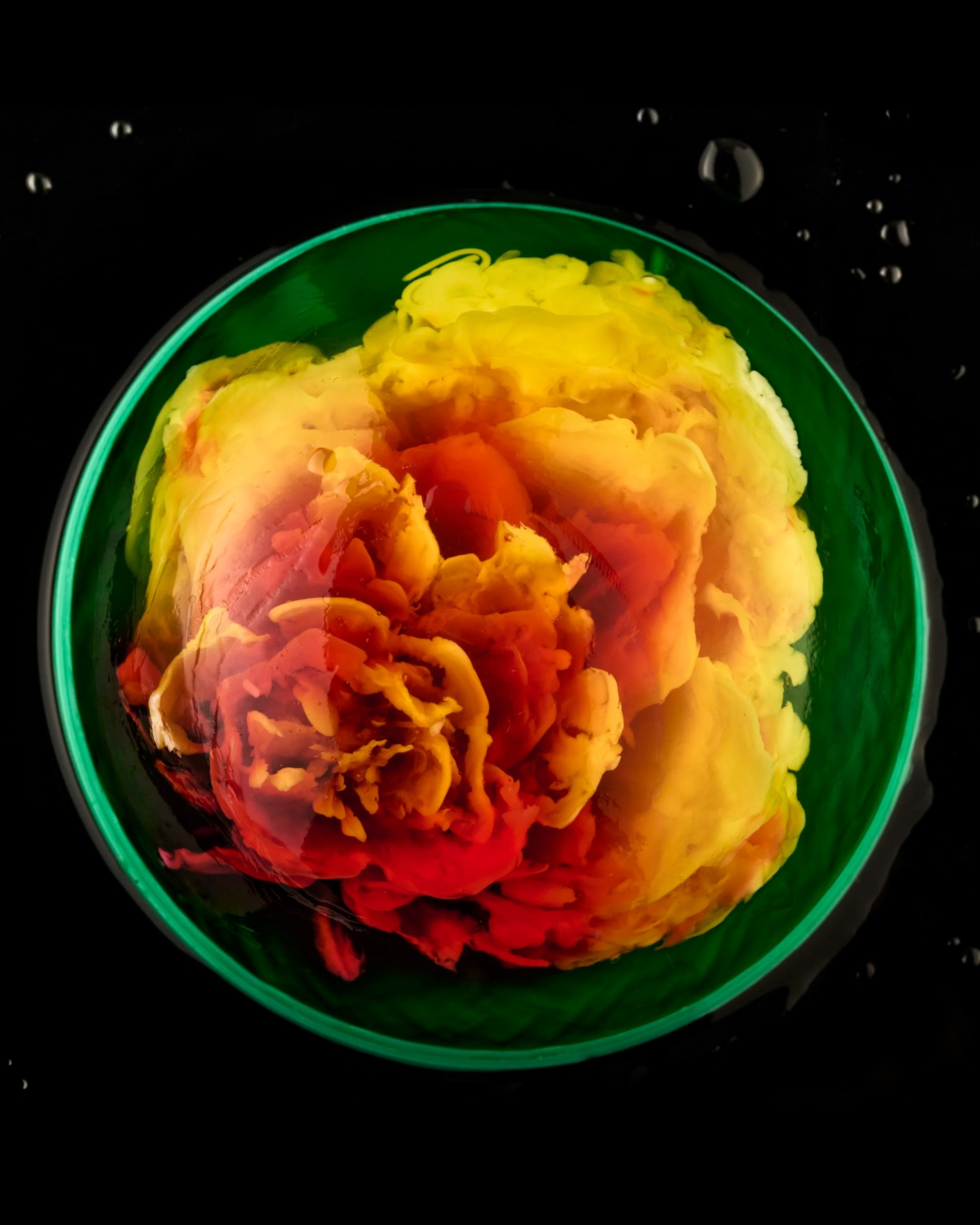 Jello World_0383_4x5.jpg