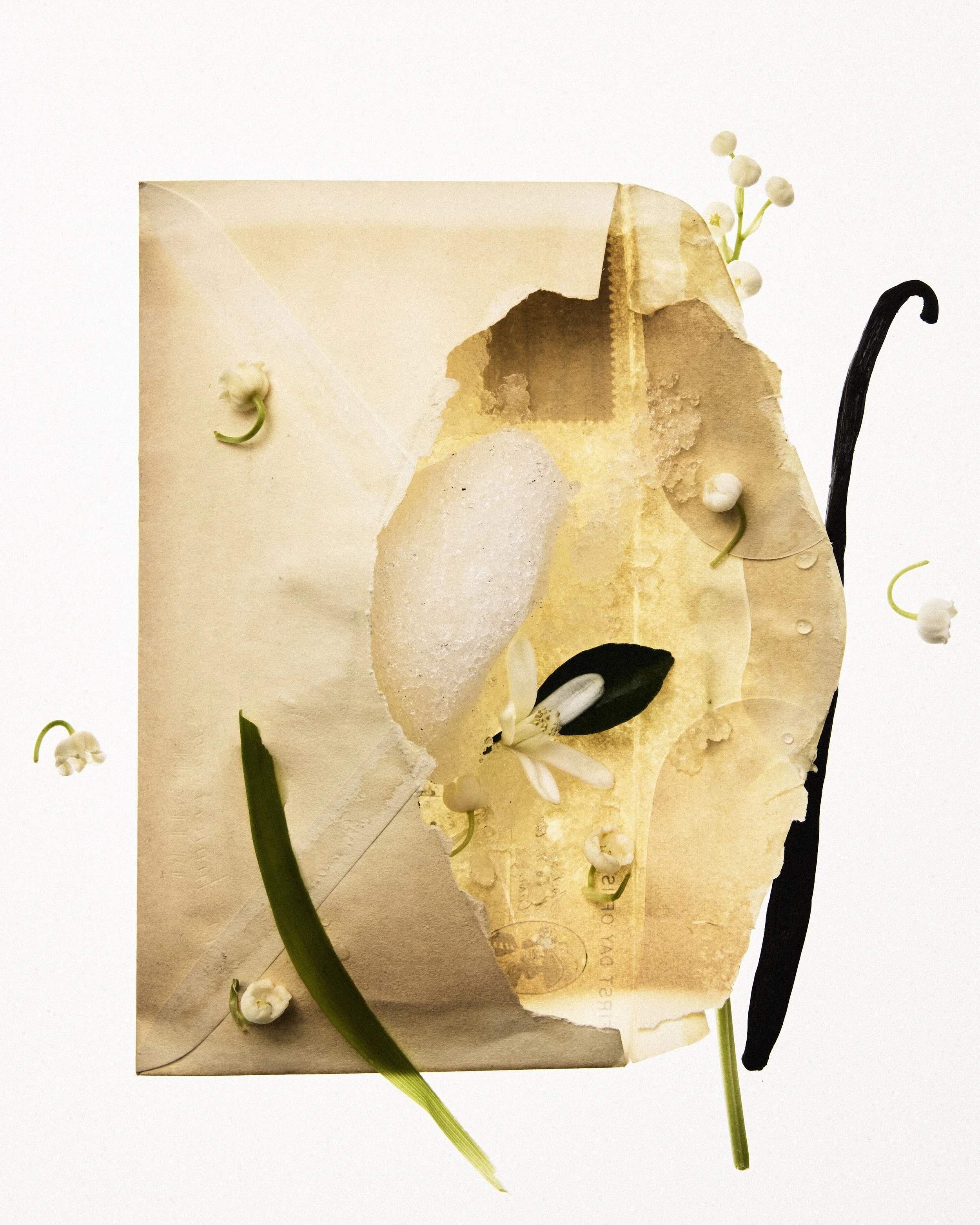 Frisson D'HIver_0094_4x5.jpg