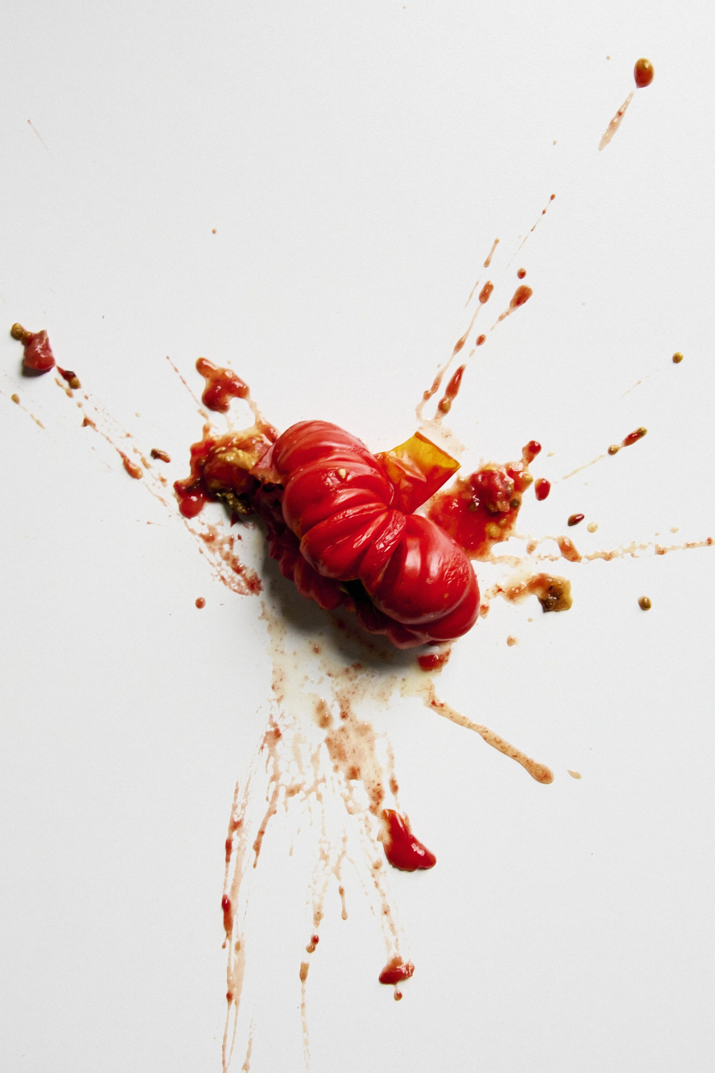 2024_08_08_tomato and stuff36431.jpg