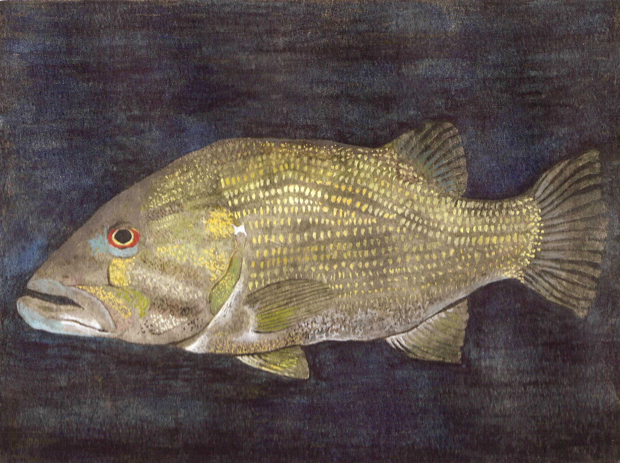 Bass