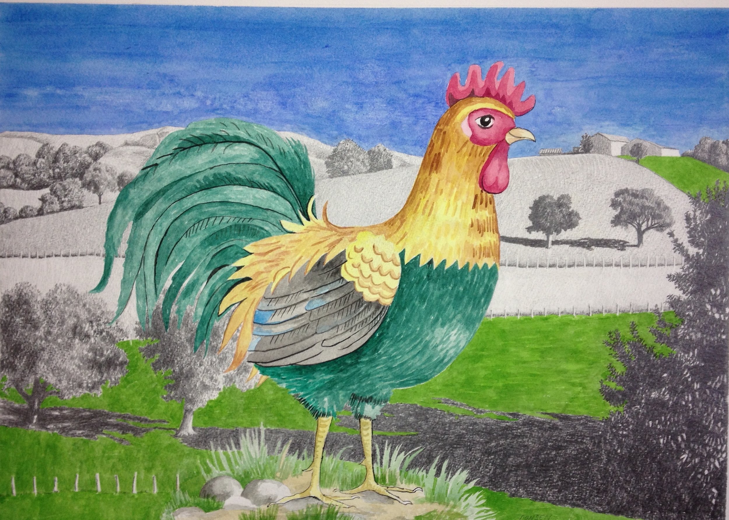Rooster on the Farm