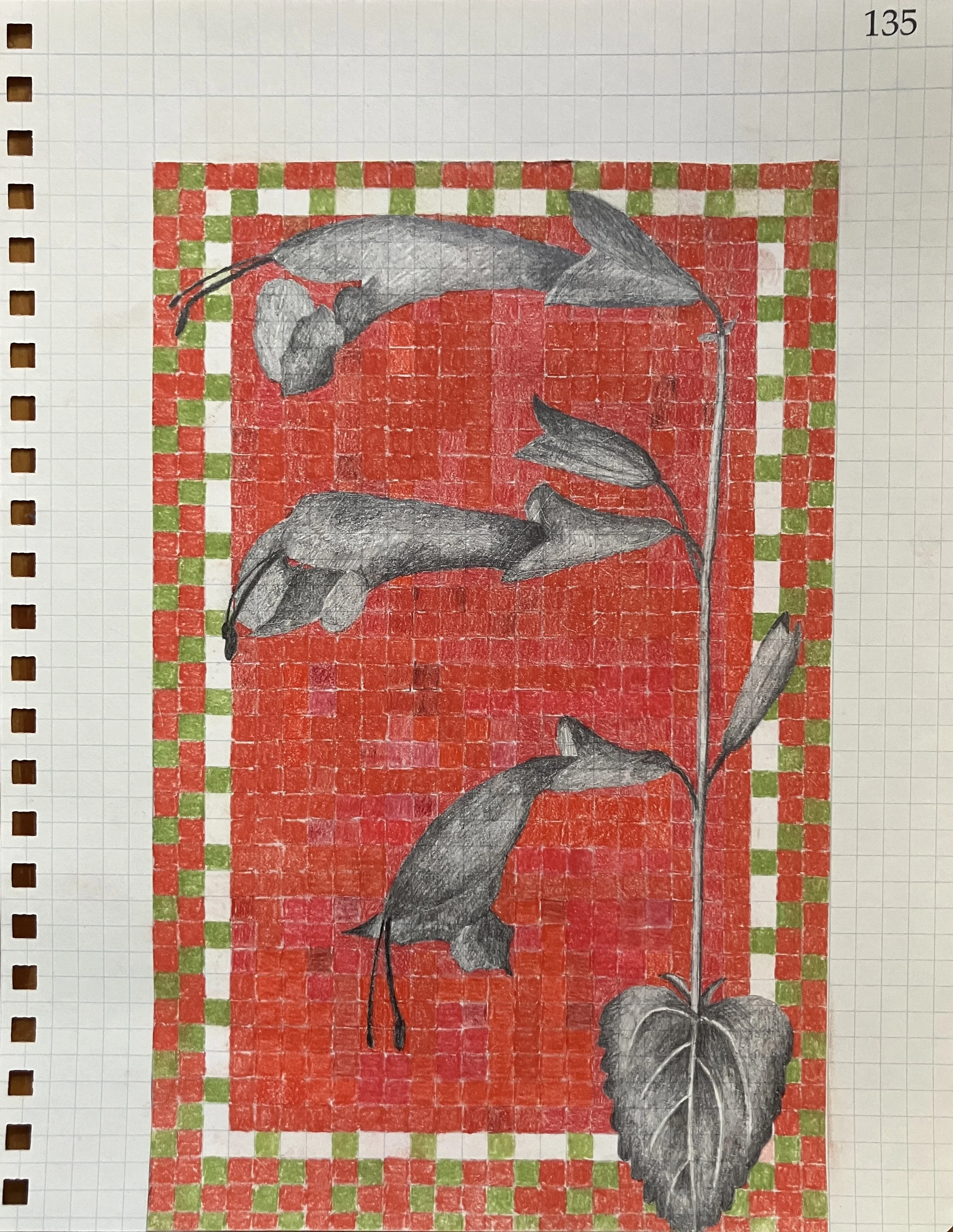 donsencardinal flower.jpeg