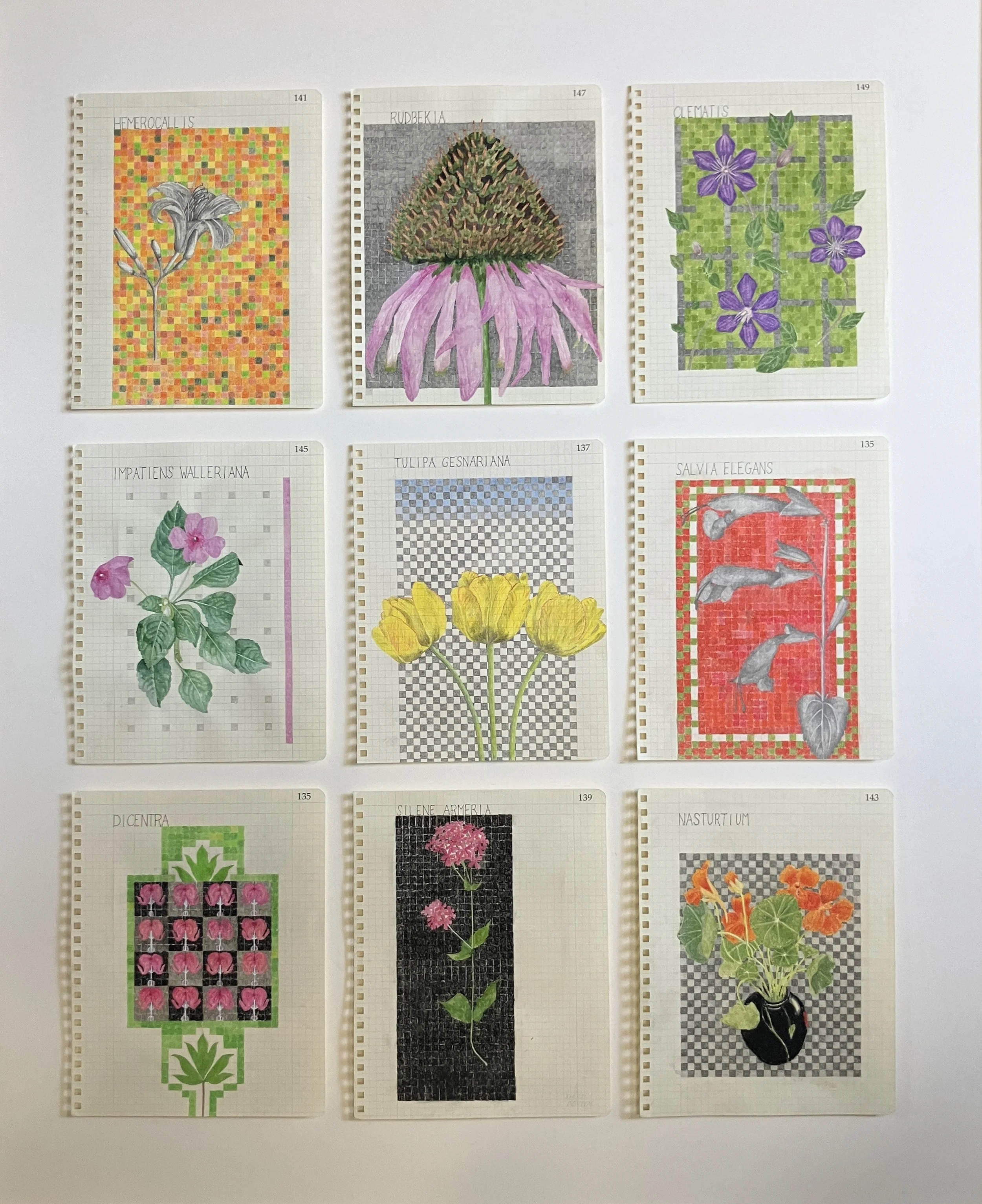 DonsenSelections from the BotanicalNotebooks.jpeg