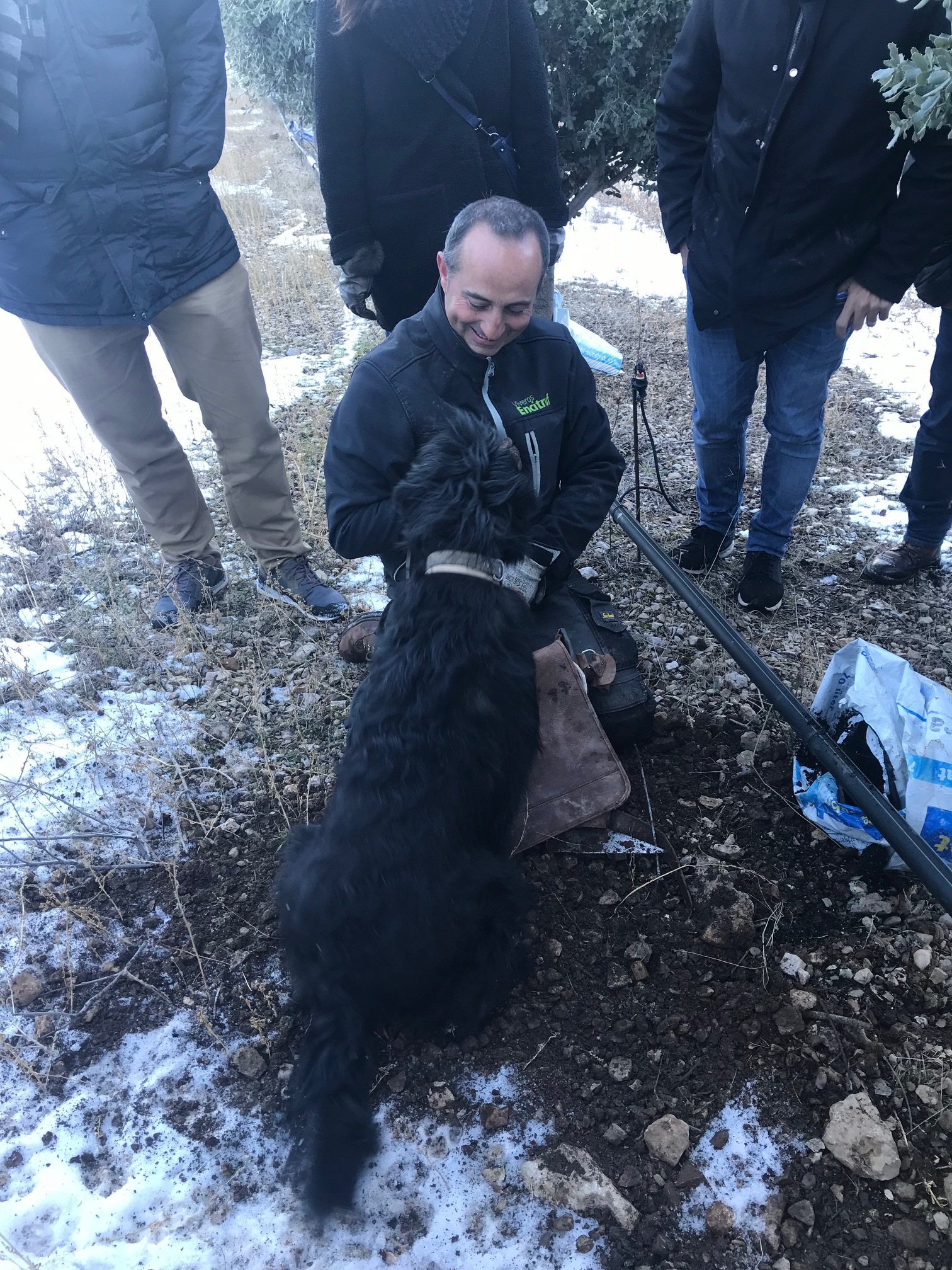 I was fortunate enough to participate as a judge in Soria, Spain's first black truffle festival.