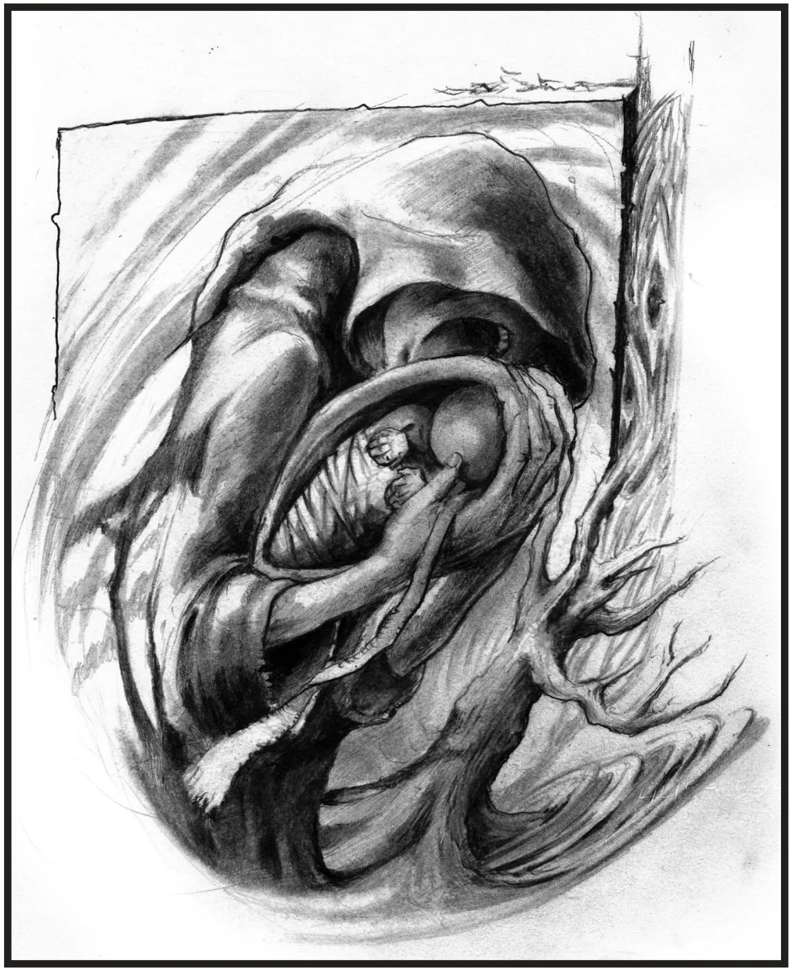 illustration_page_143.jpg