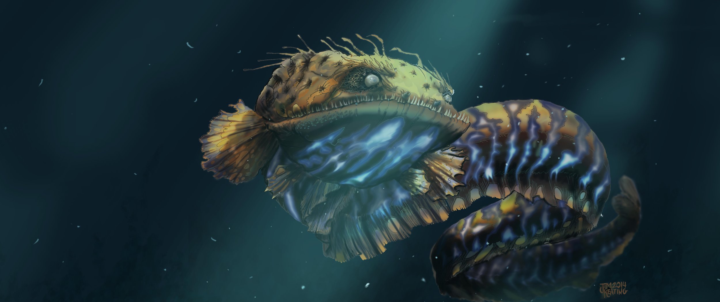 eel3.jpg
