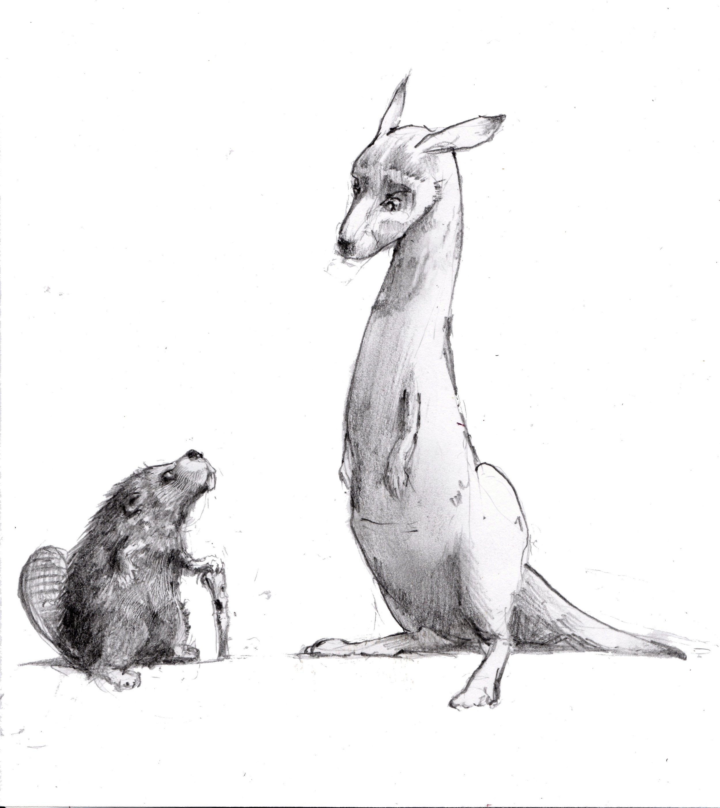 beaver roo.jpg