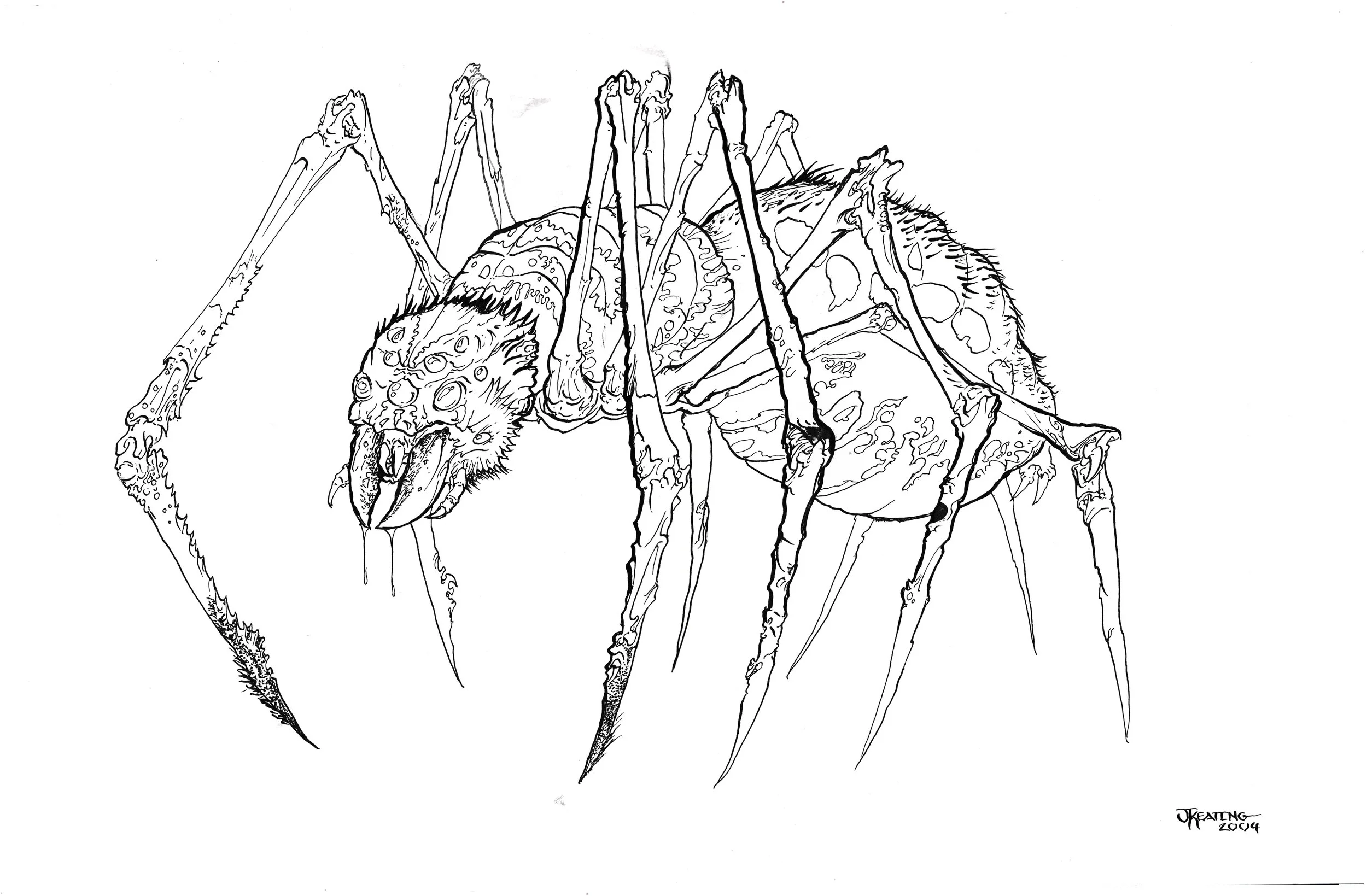 arachnid.jpg