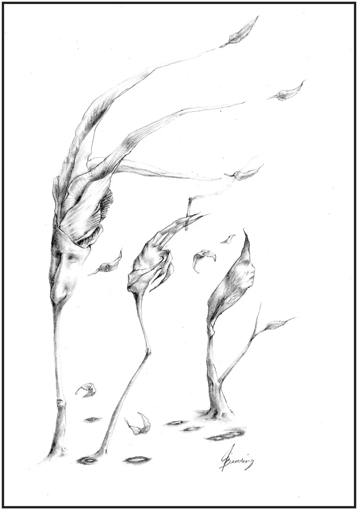 illustration_page_169.jpg
