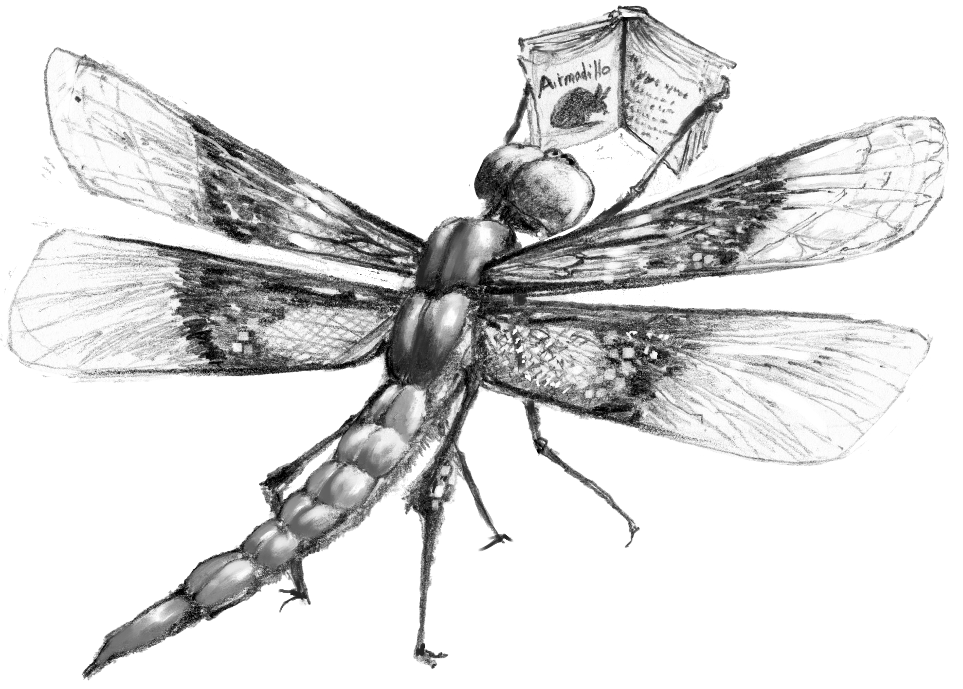 dragonfly.png