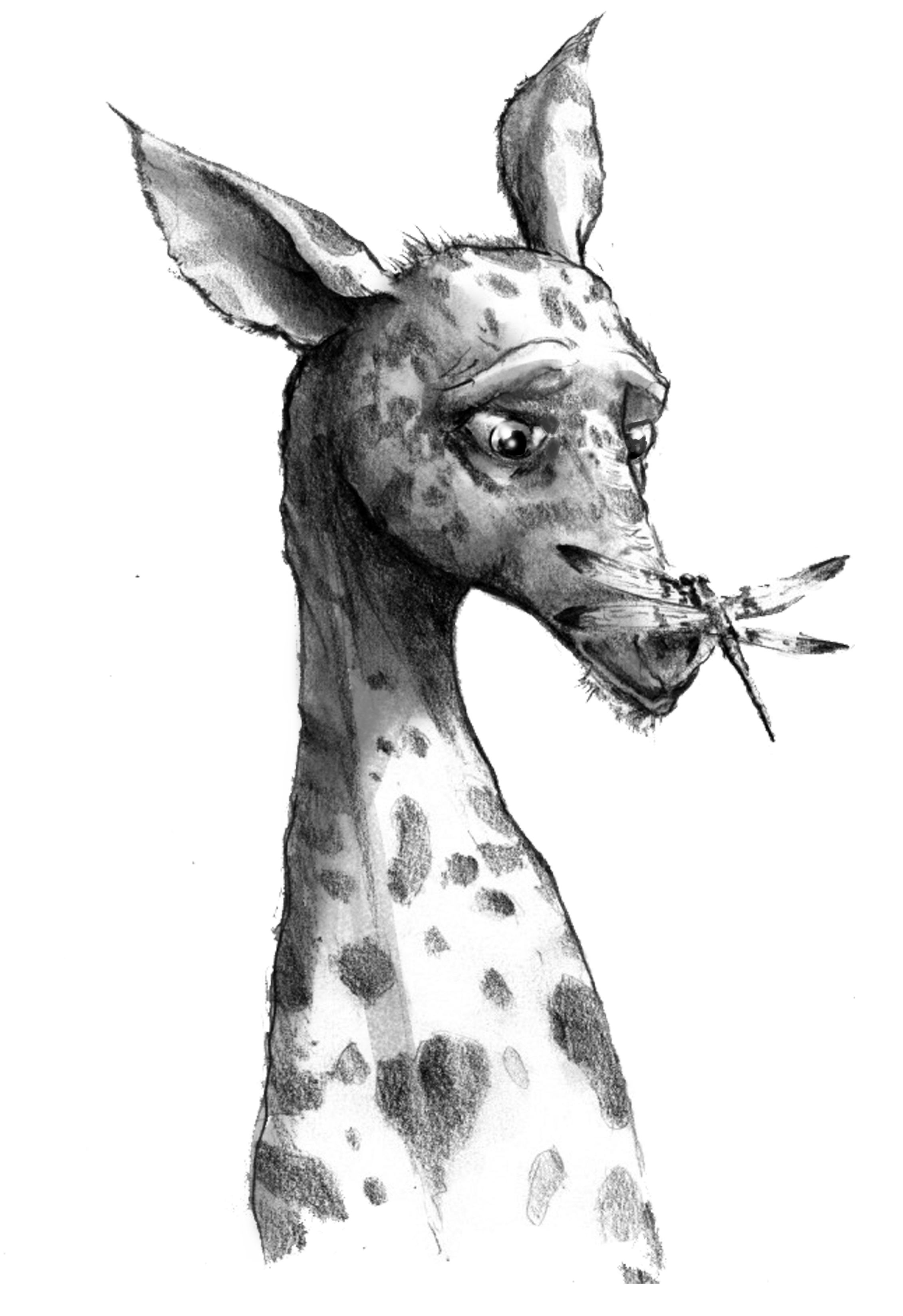 giraffedragonfly.png