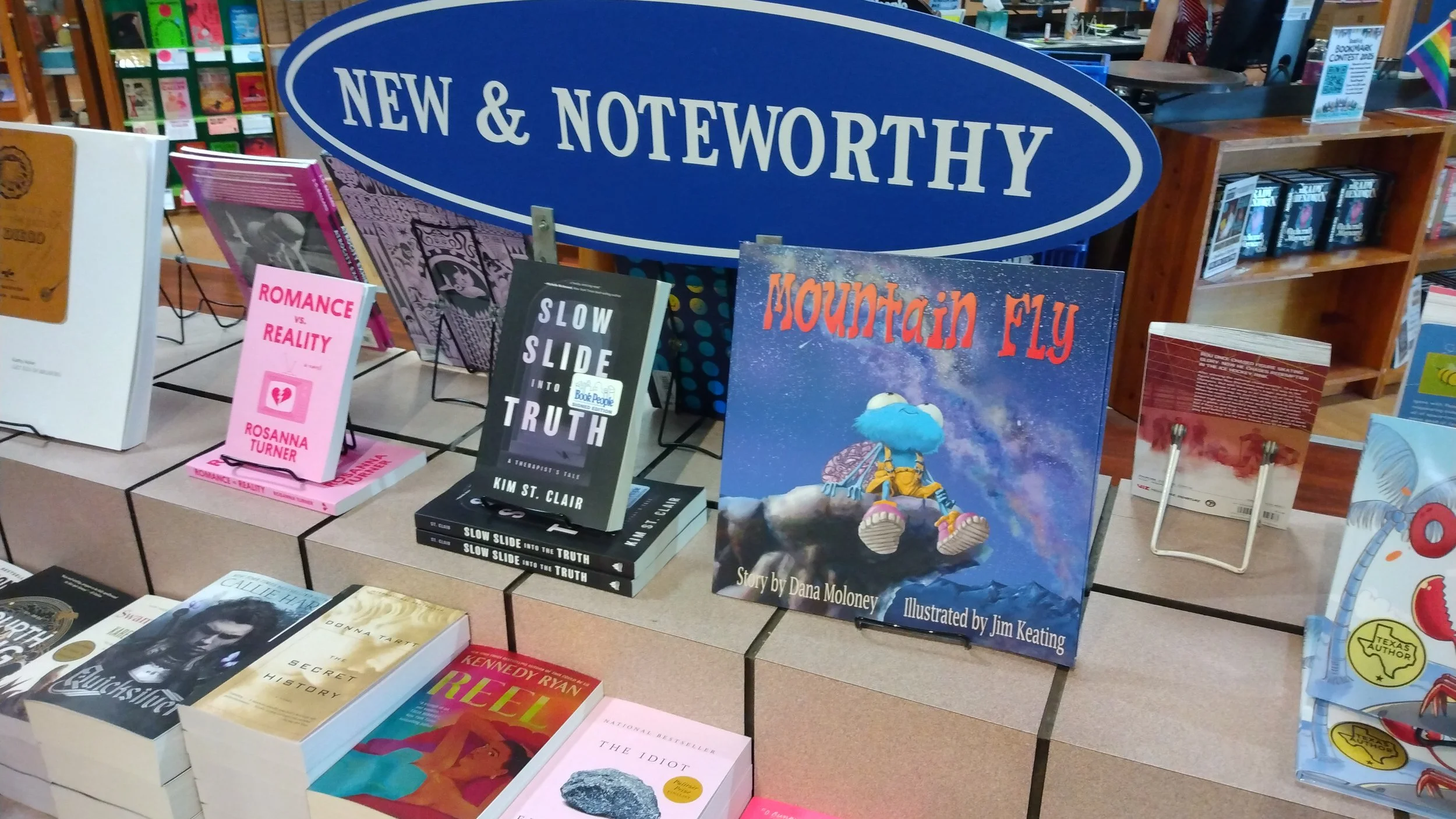 Mountain Fly Children's Book