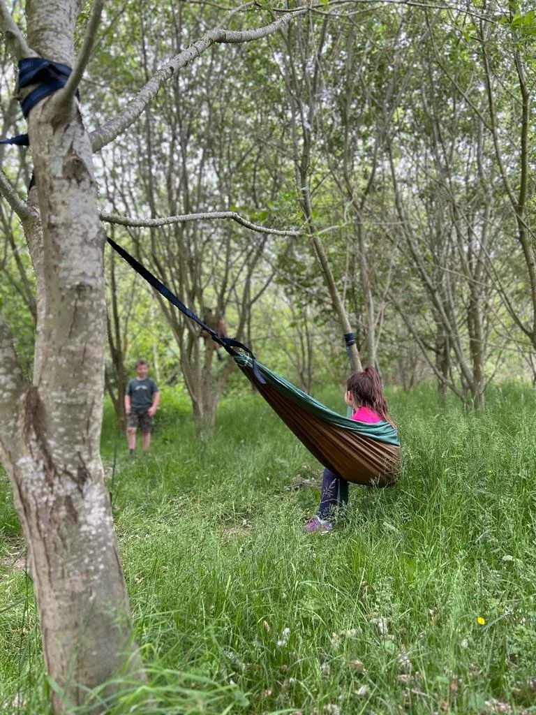 hammock.jpeg