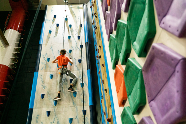  EVOLVE: how to conduct a safety audit