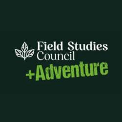 Logos for Website (14).png