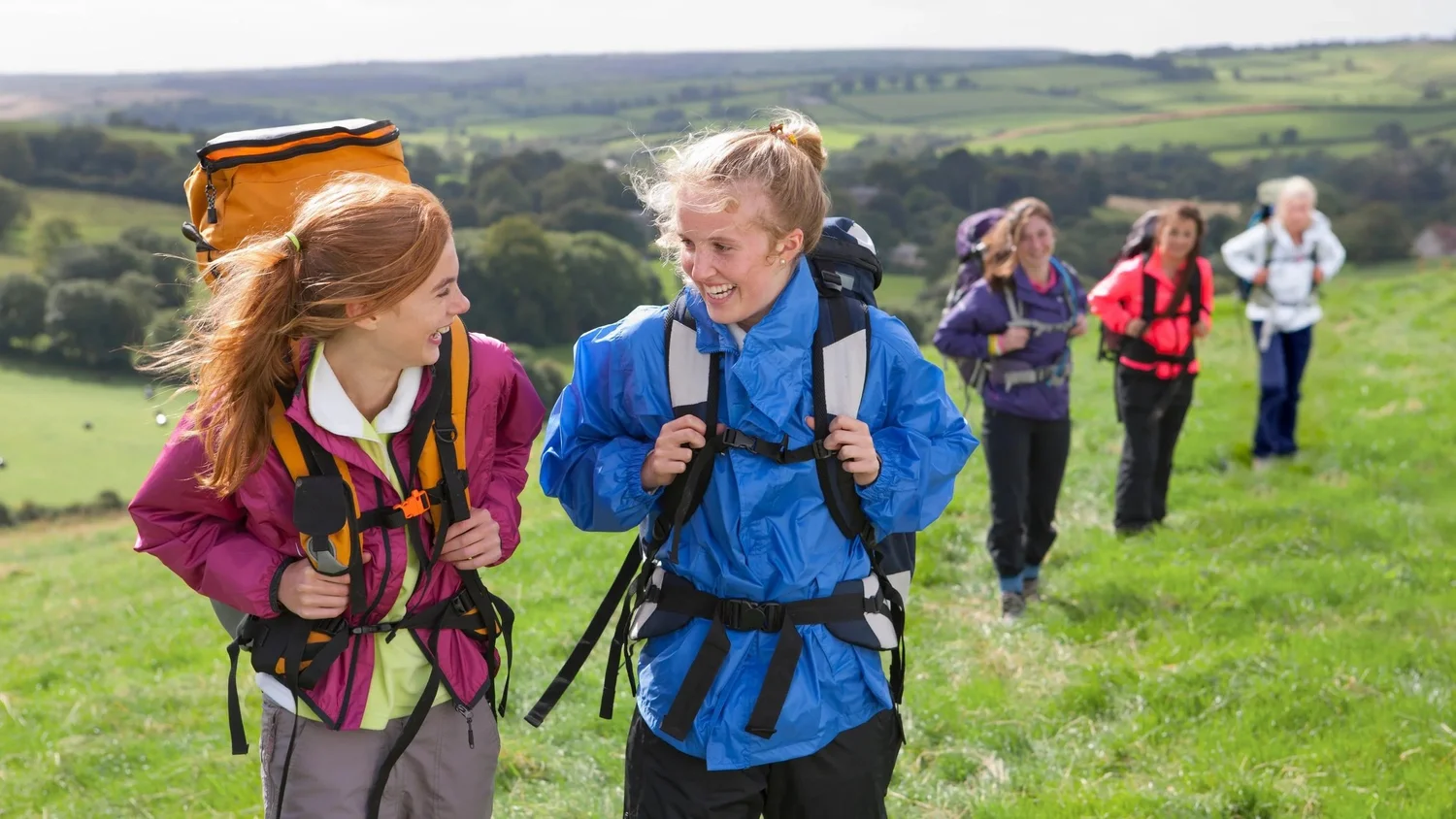 Getting risk assessment right — EVOLVE Advice