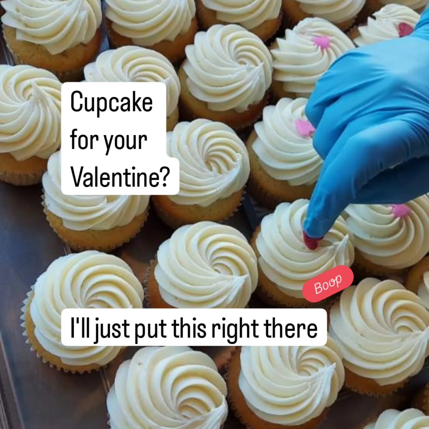Valentine's Day is for cupcakes at Brake Bread.
Come grab something special for your honey, or for yourself. We're not asking questions!

We've got 
Chocolate with chocolate or cream cheese frosting
Vanilla and lemon curd with cream cheese frosting

