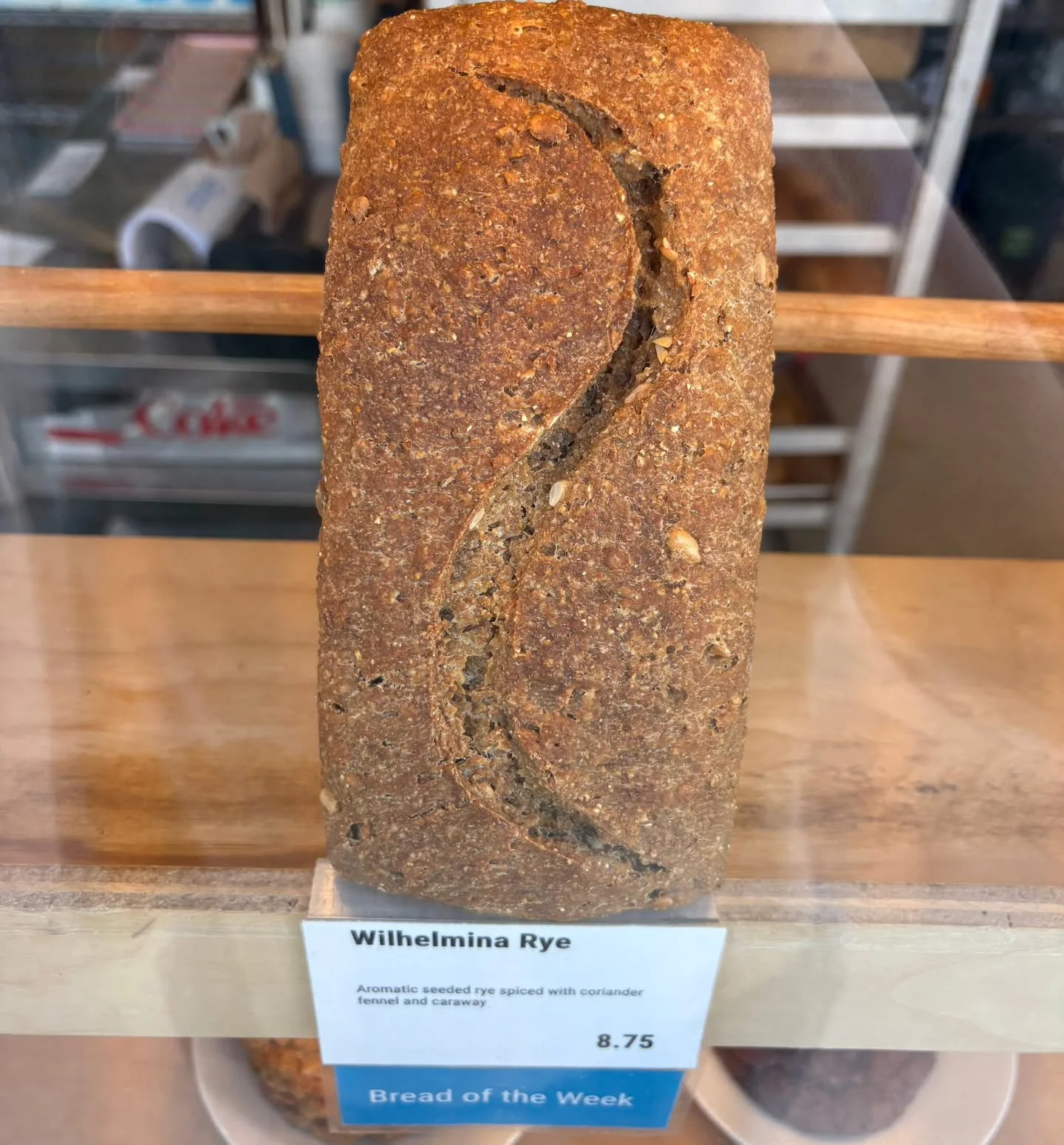 This week at Brake Bread: Wilhelmina Rye! Cheddar Chive scones! Mo'Ginger cookies! Love and affection! Unconditional loyalty!