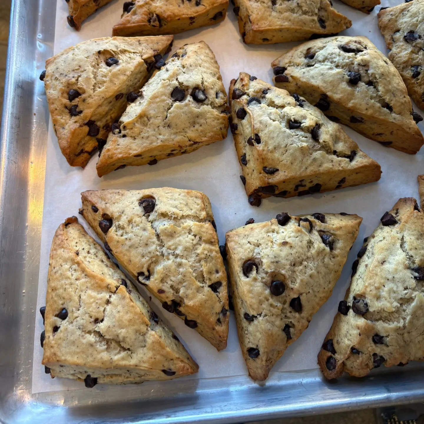 This week at Brake Bread: Chocolate Fennel Scones, Snickerdoodles, and Ryed On!