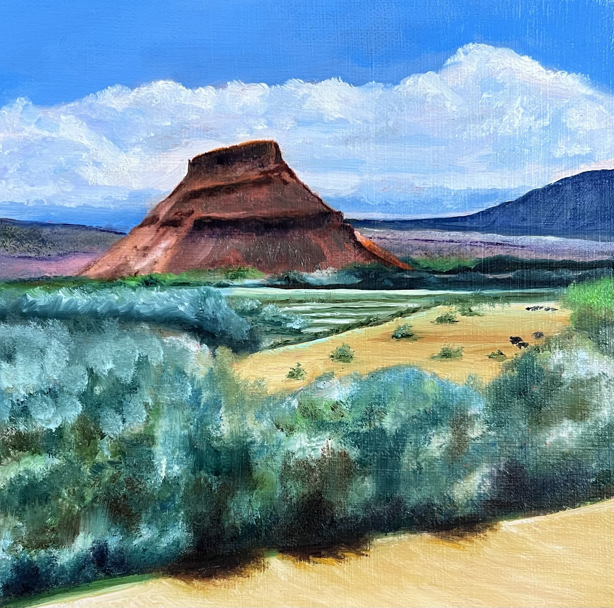 Cerro Blanco