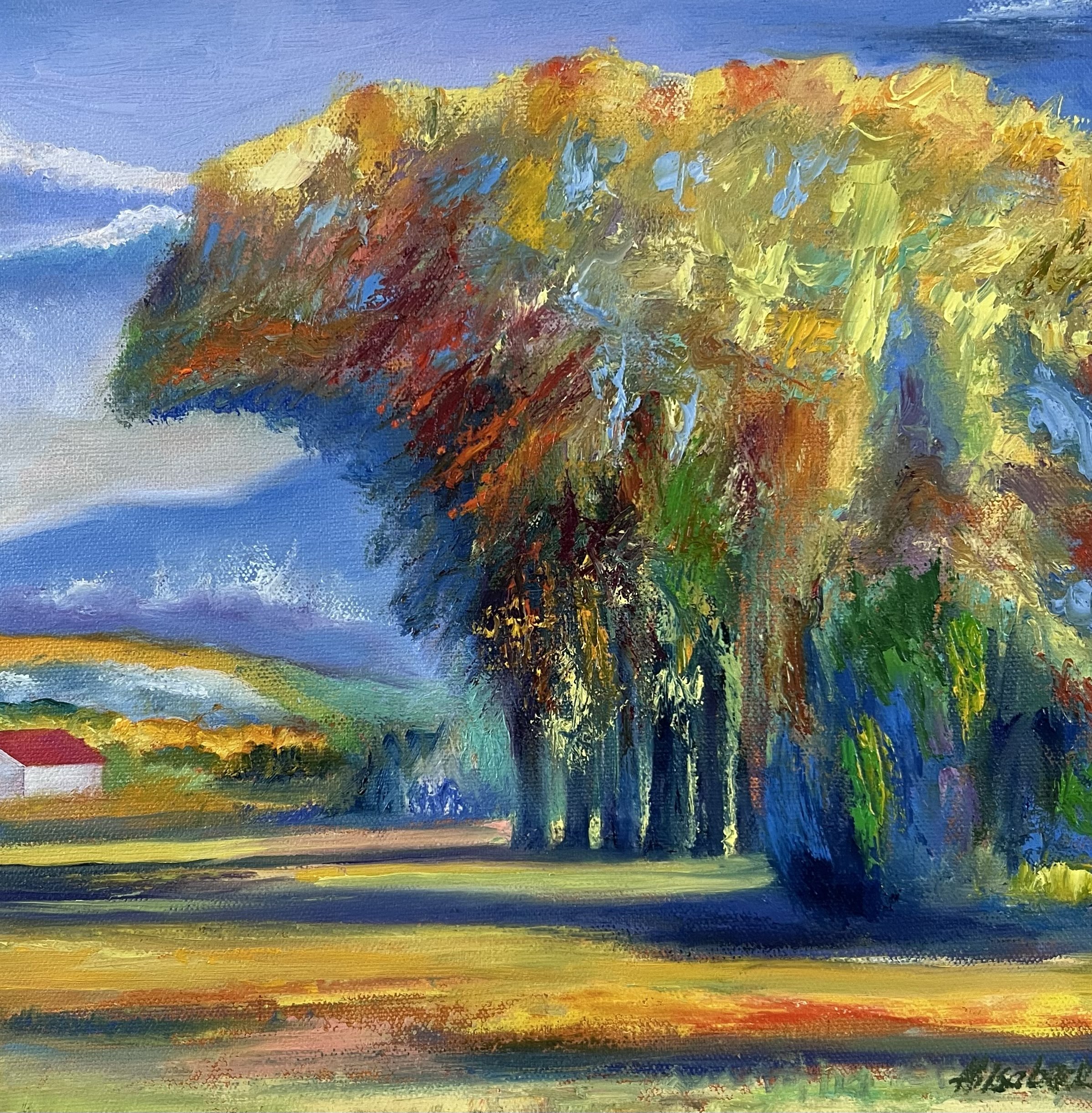 Las Trampas, Fall Colors